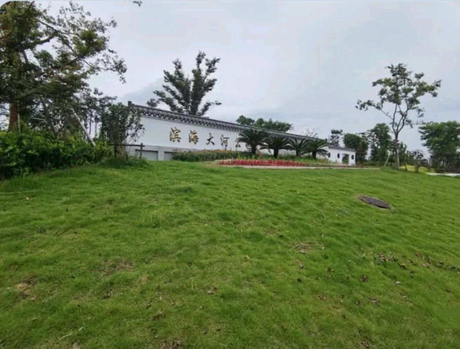 滨海大河公园旅行图片 1