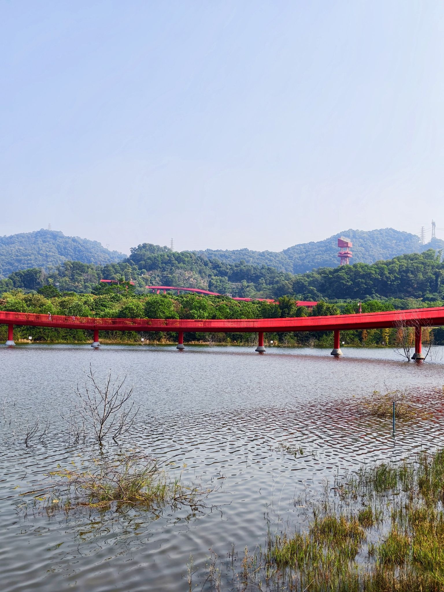 虹桥公园旅行图片 2