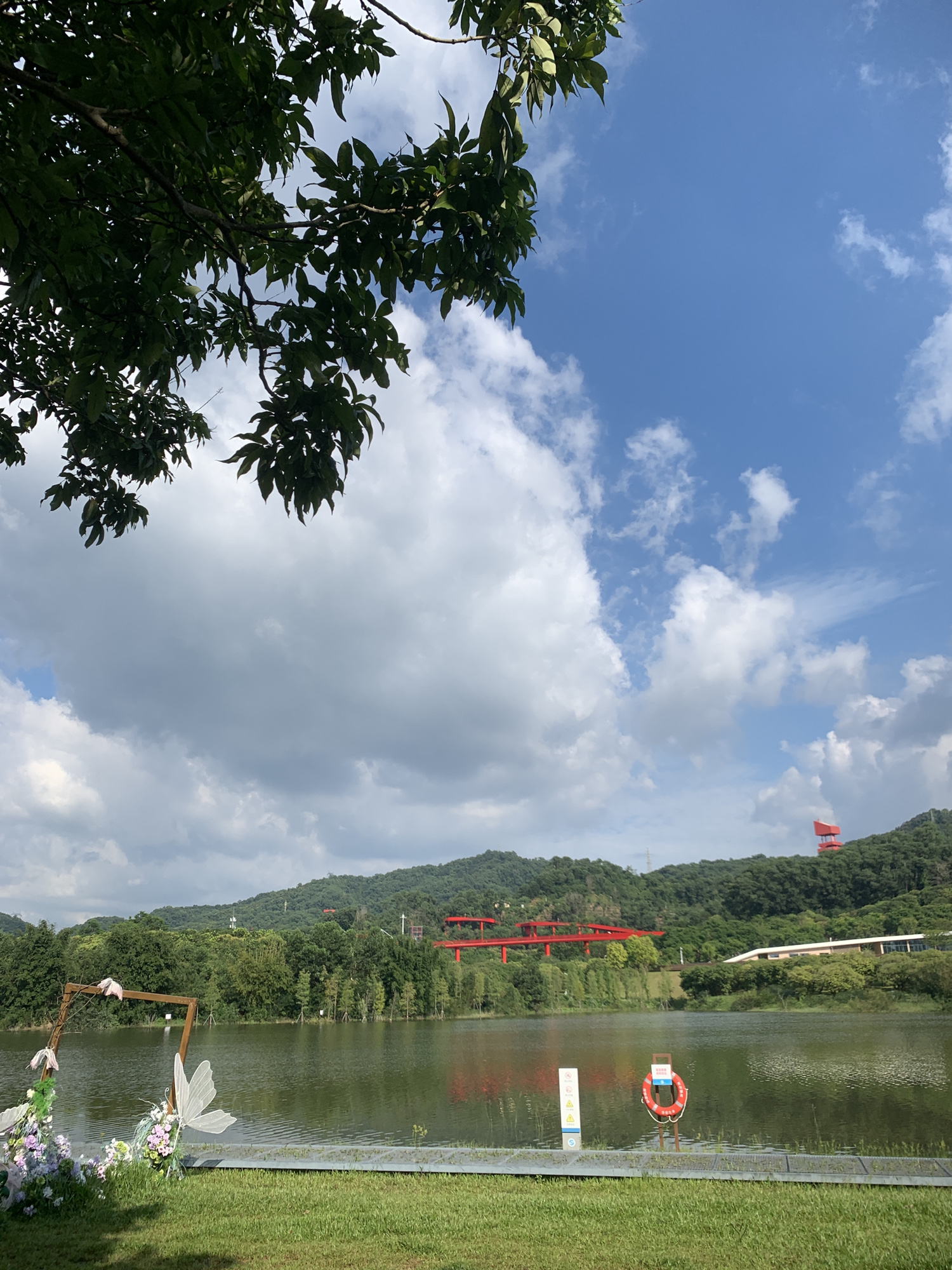 虹桥公园旅行图片 1