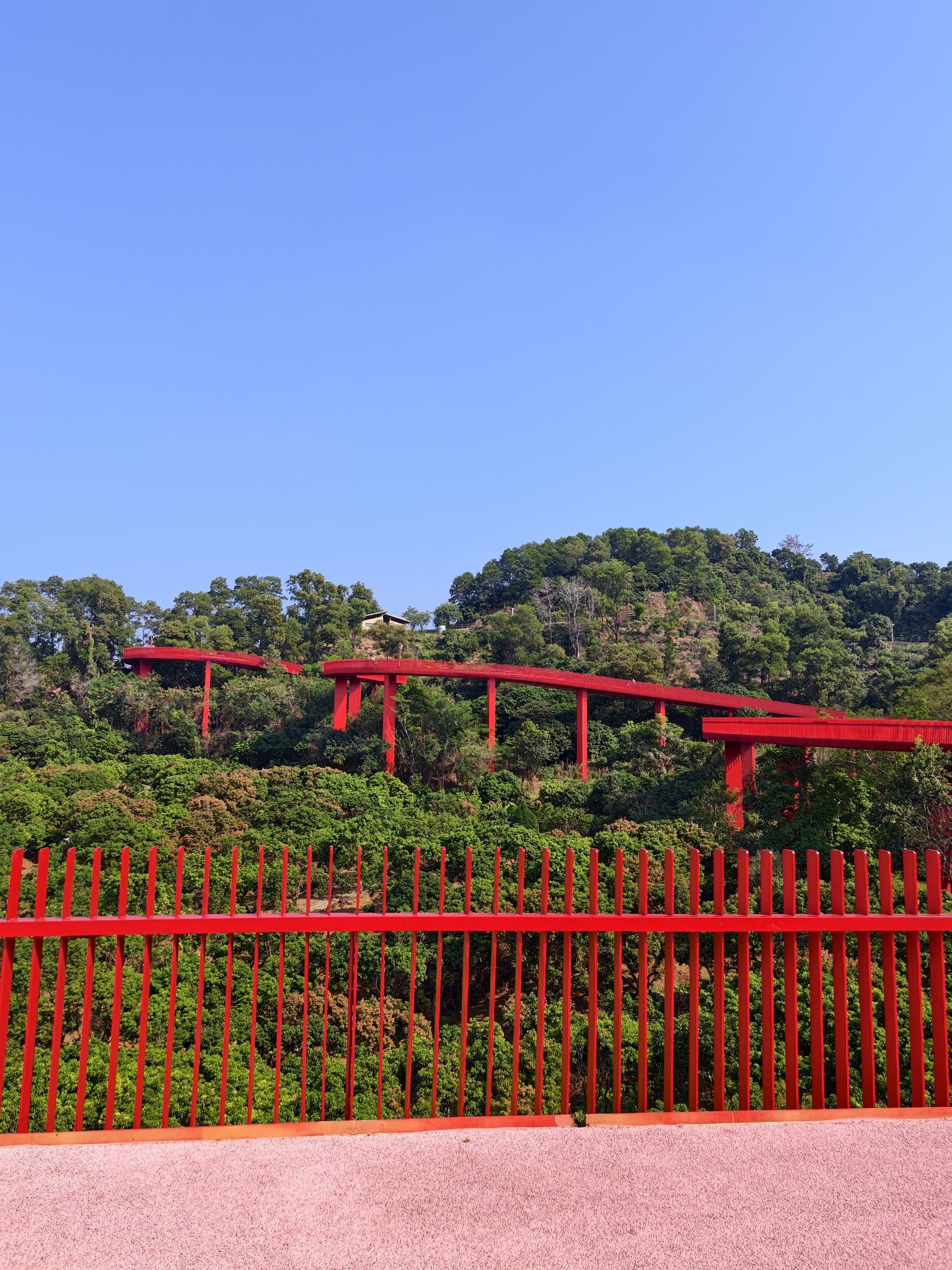 虹桥公园旅行图片 3