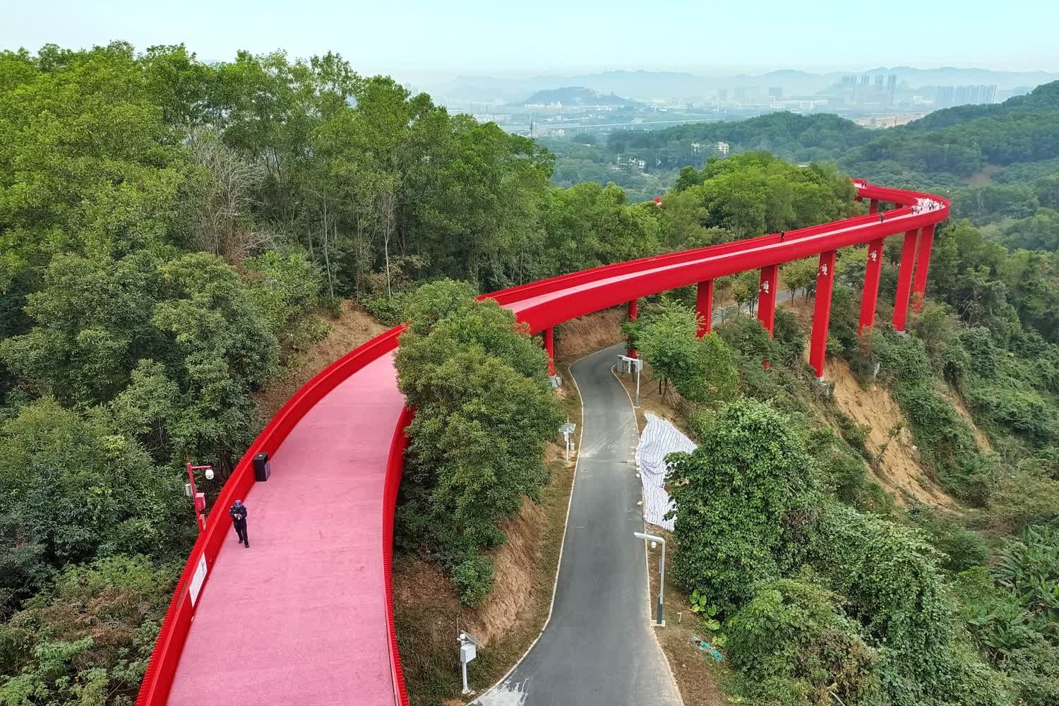 虹桥公园旅行图片 1