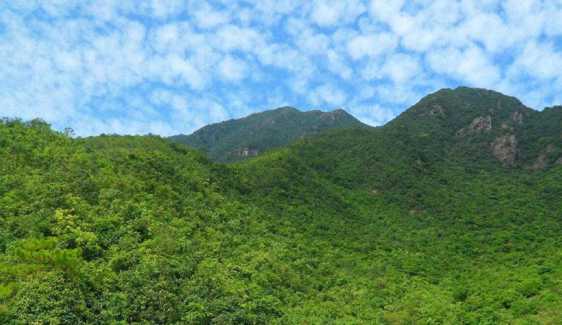 汕尾莲花山森林公园