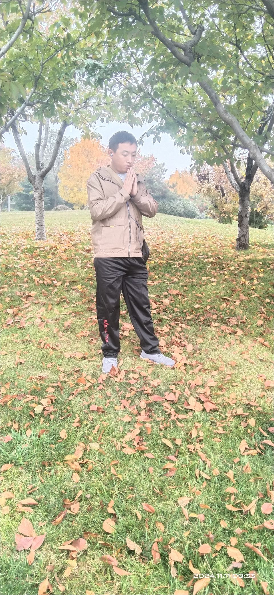 黄岛张家楼千亩枫林旅行图片 2