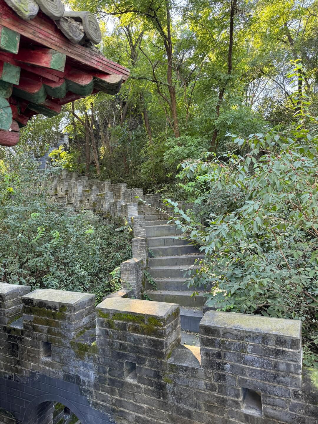 高采公园旅行图片 1