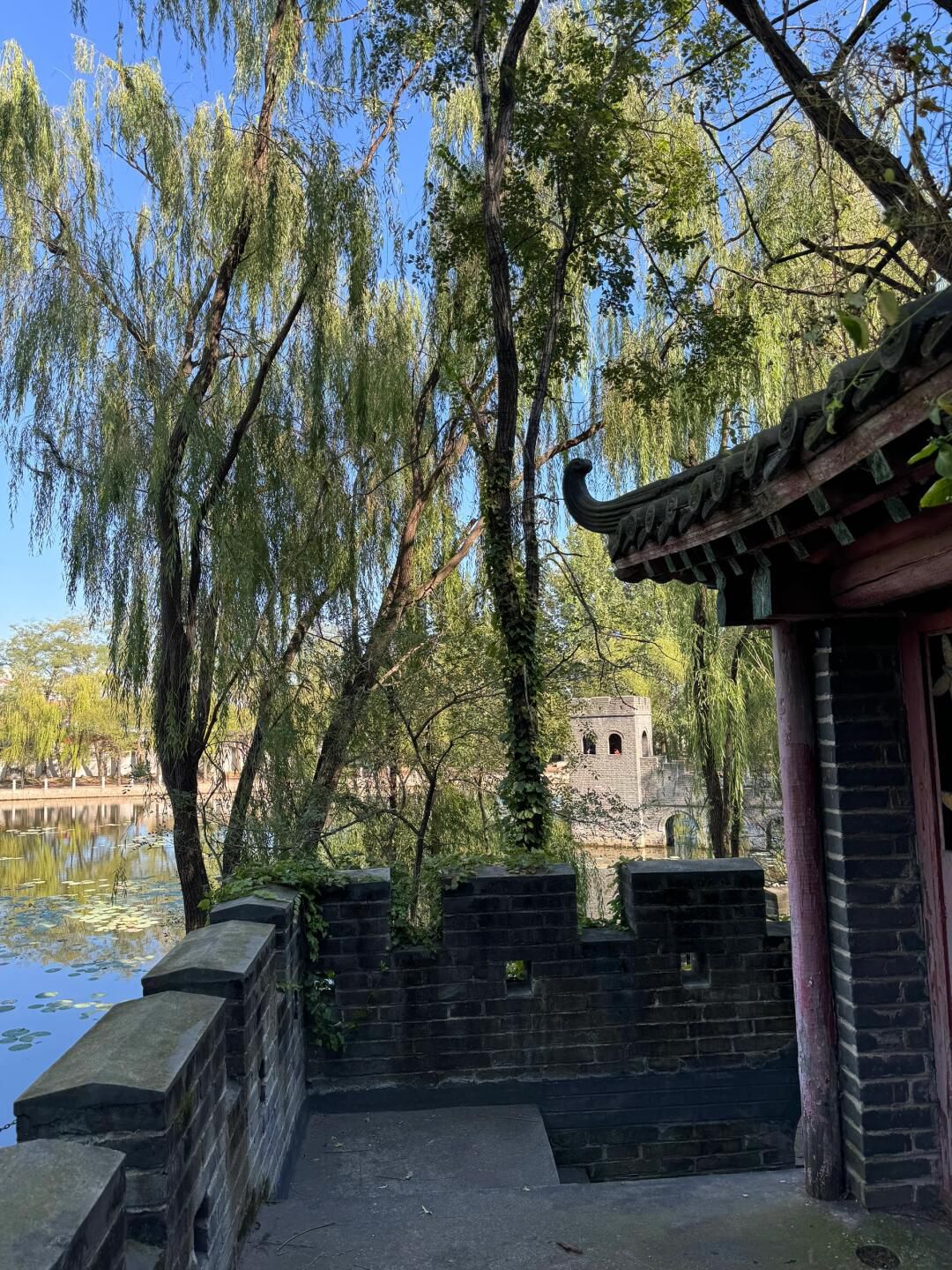 高采公园旅行图片 3