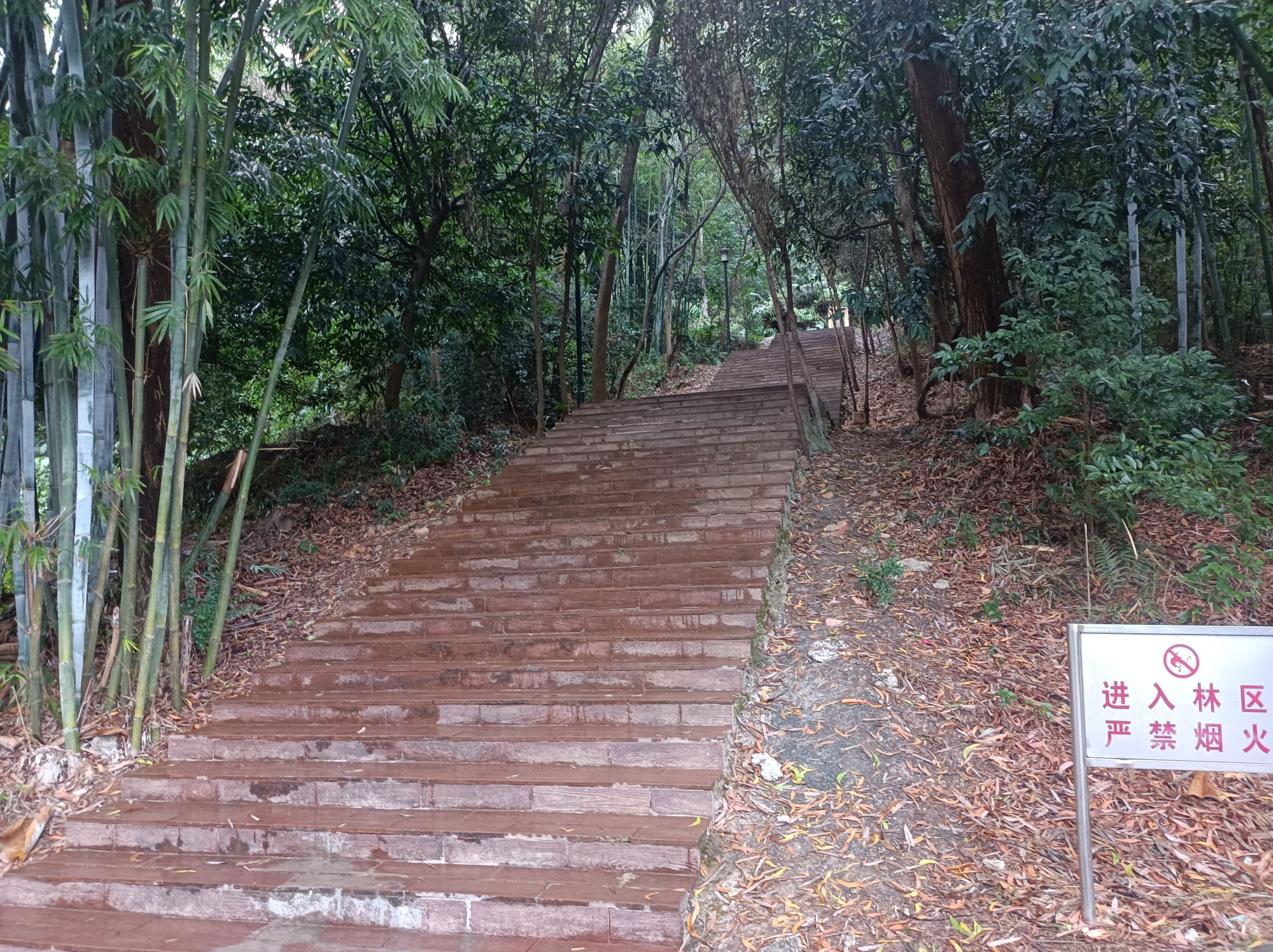 金山公园旅行图片 1