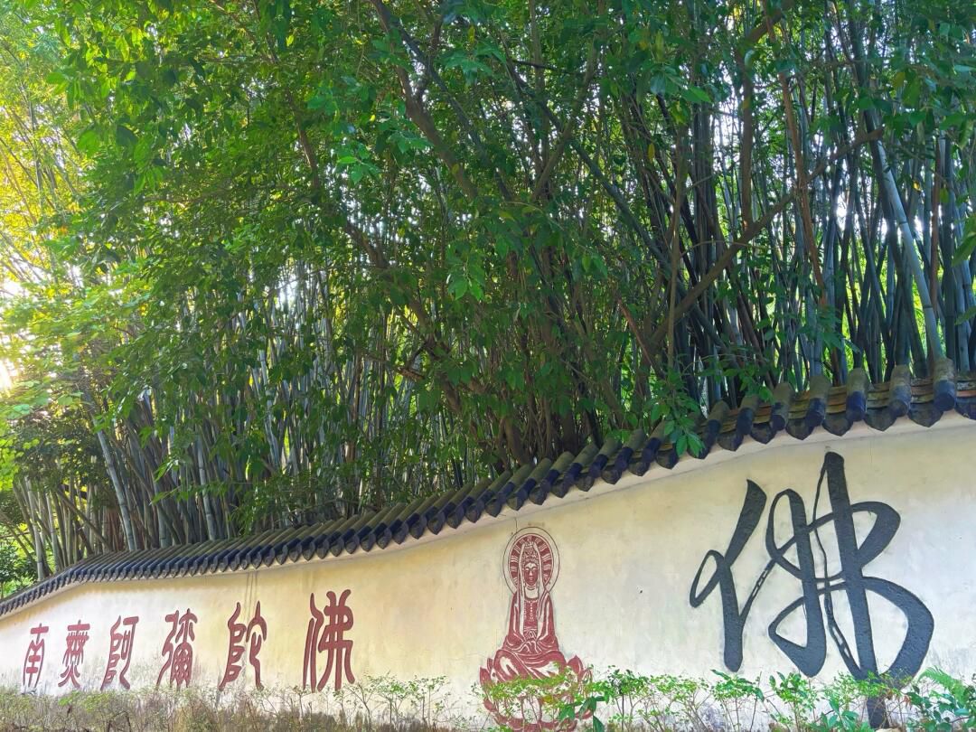 金山公园旅行图片 2