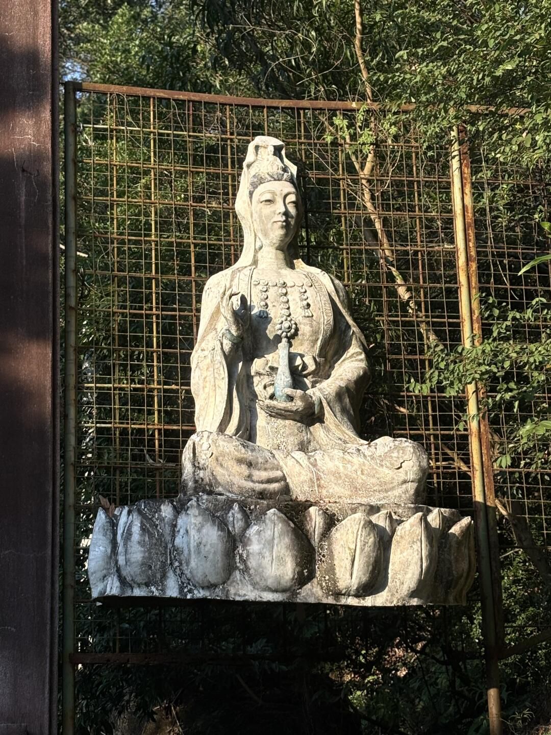 金山公园旅行图片 3