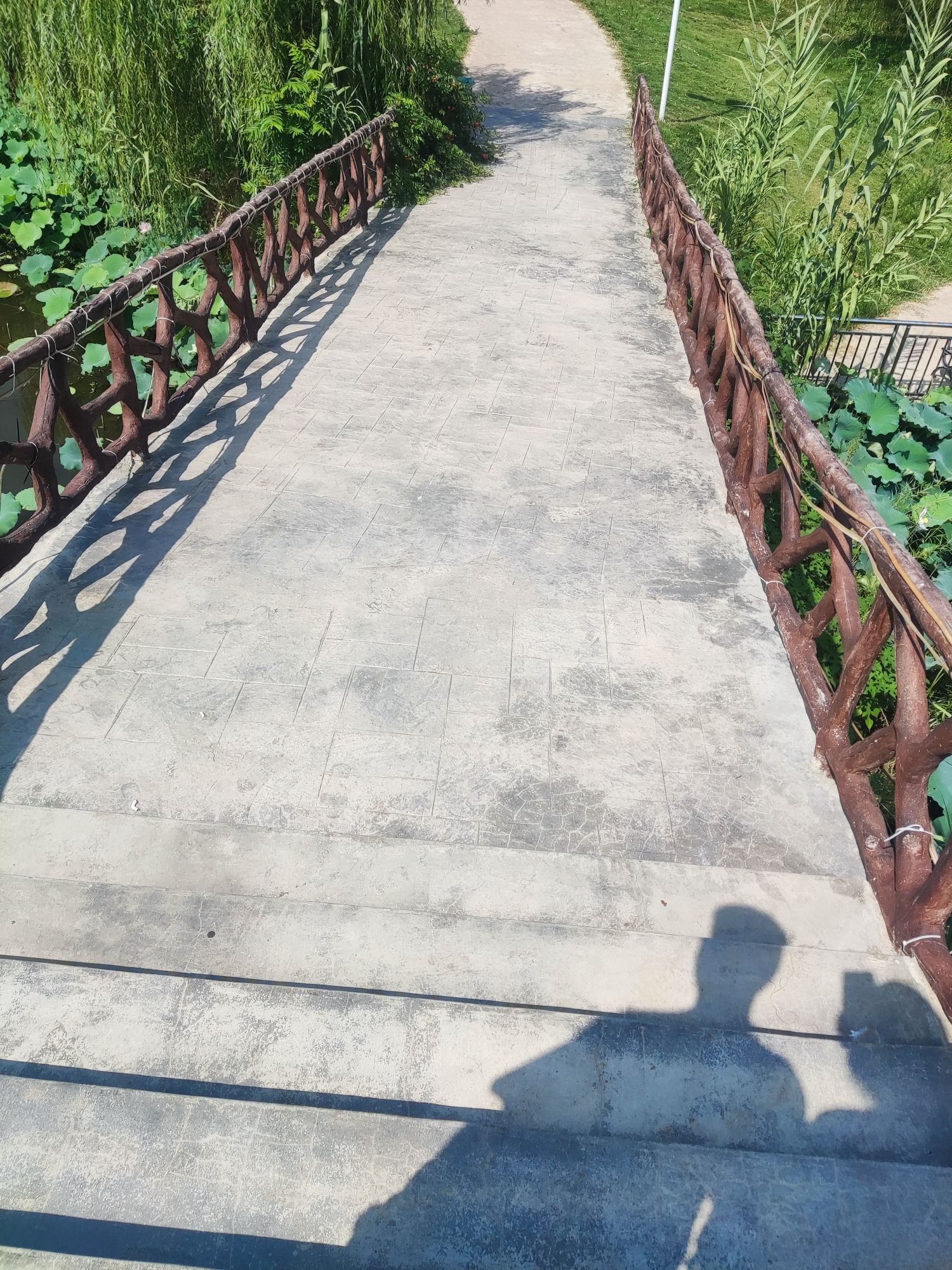 刘龙集景区旅行图片 3