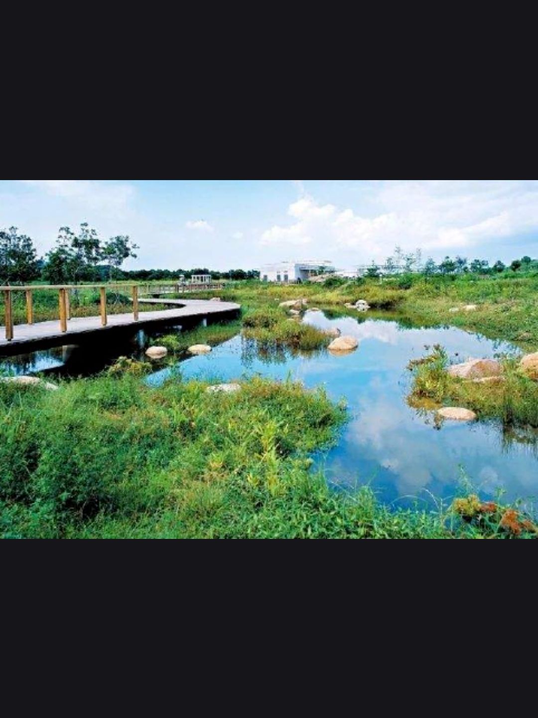 四合永湿地公园旅行图片 1
