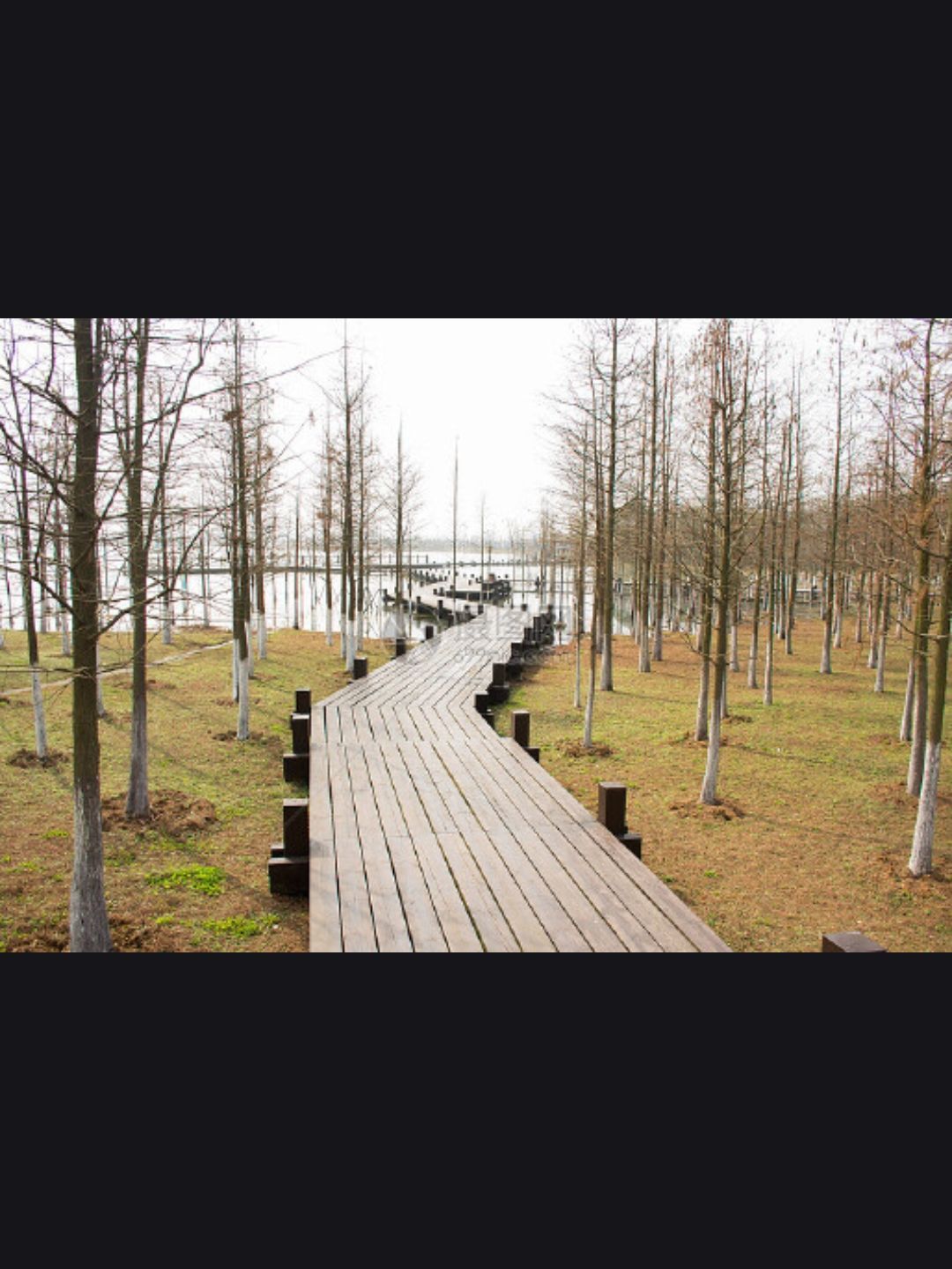 四合永湿地公园旅行图片 3