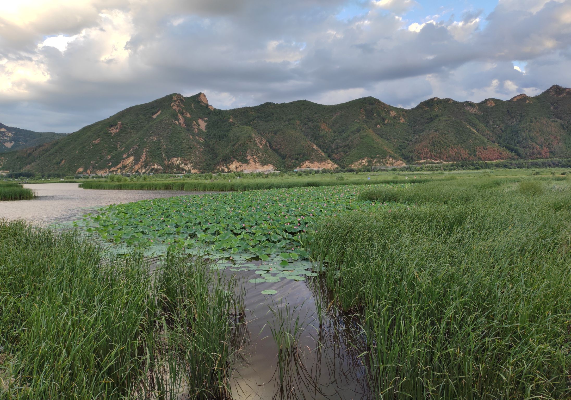 四合永湿地公园