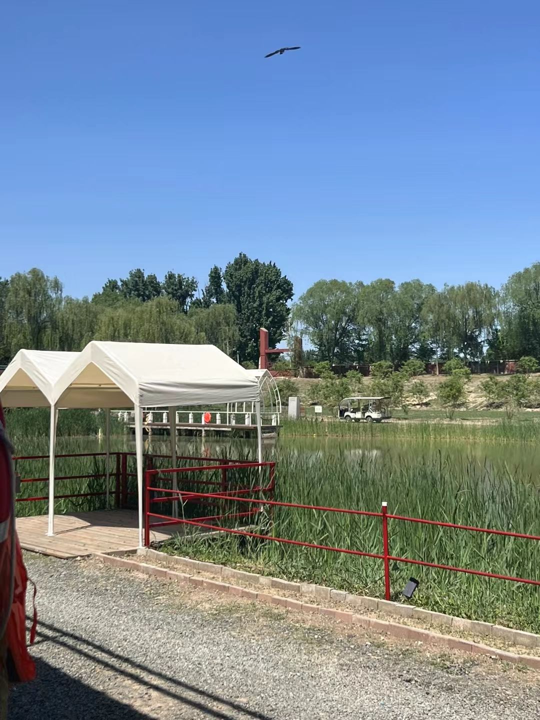 四合永湿地公园旅行图片 3