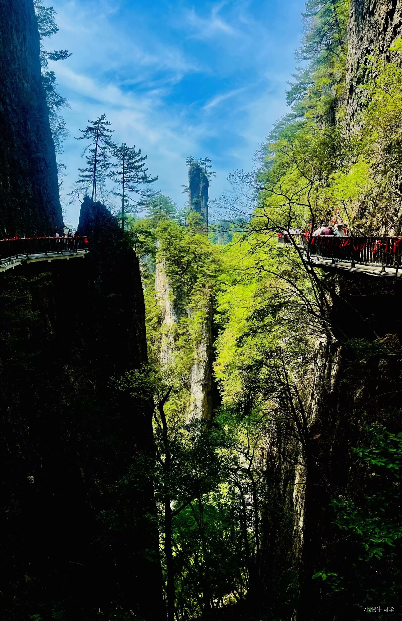 光雾山旅游景区-燕子岭