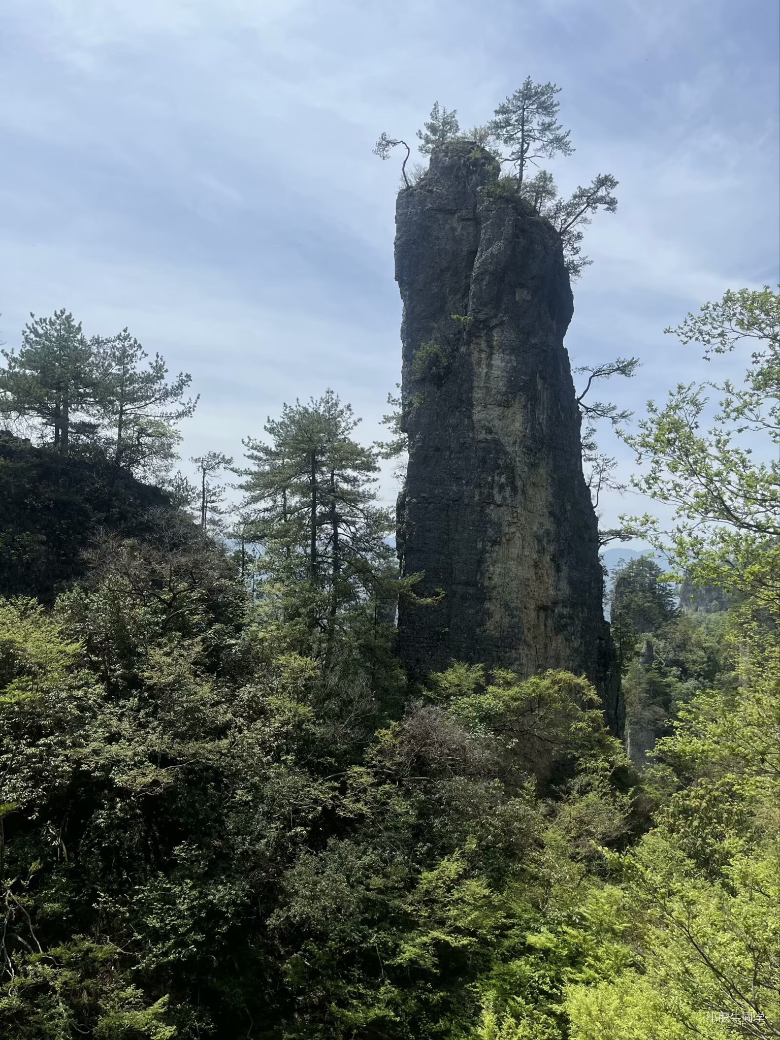 光雾山旅游景区-燕子岭
