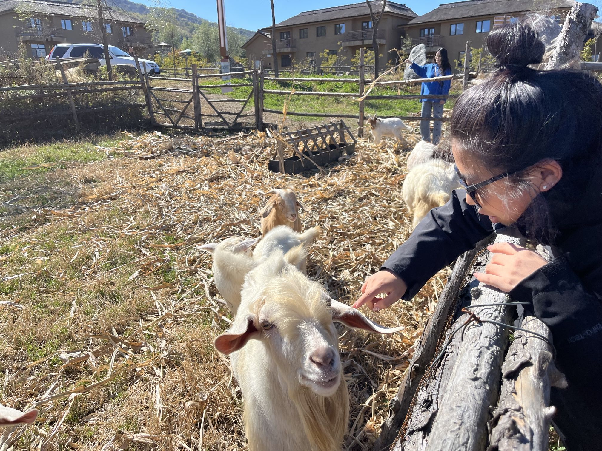 西夹荒生态旅游度假区旅行图片 1
