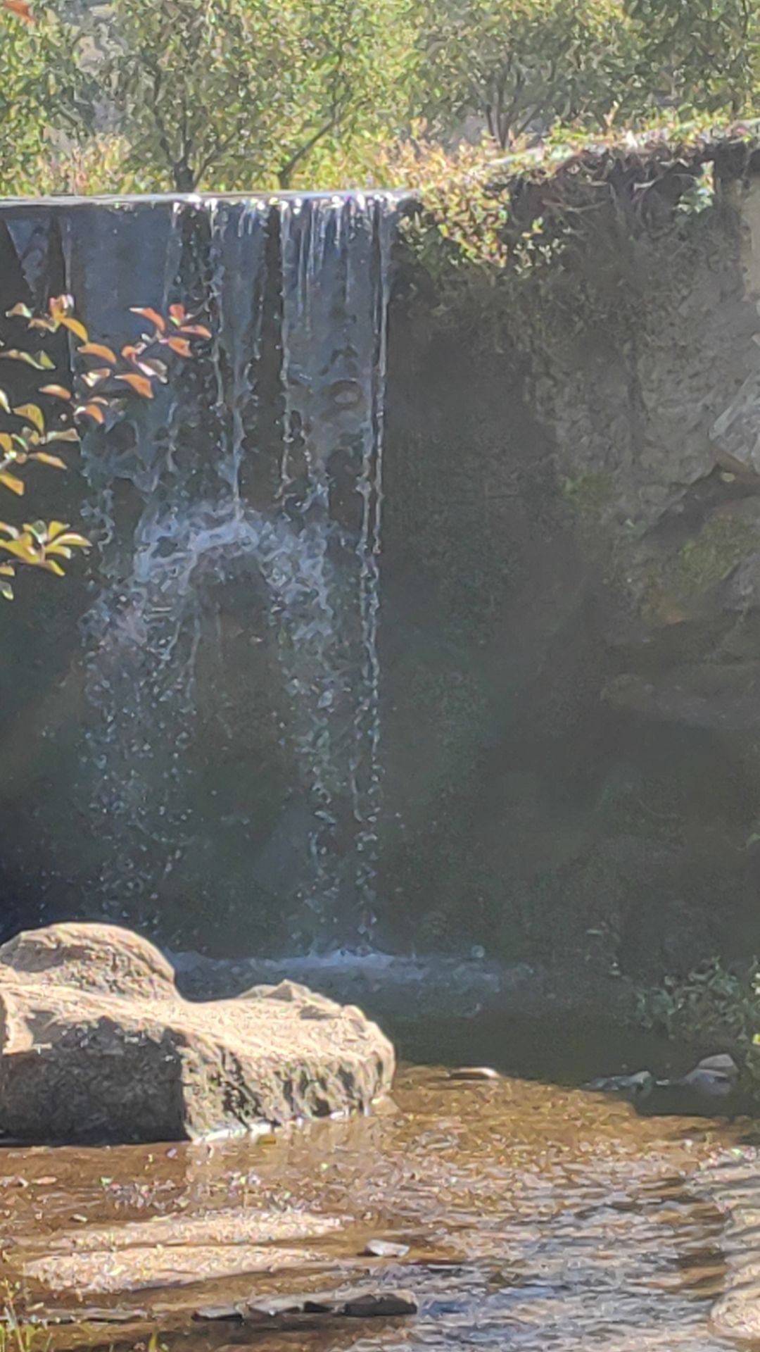 西夹荒生态旅游度假区旅行图片 2
