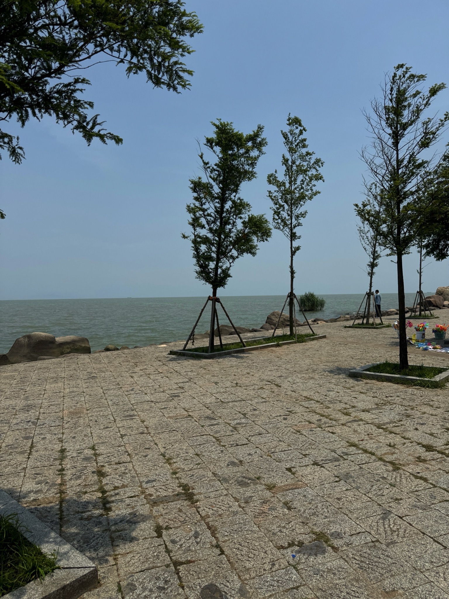 太湖观景台旅行图片 1