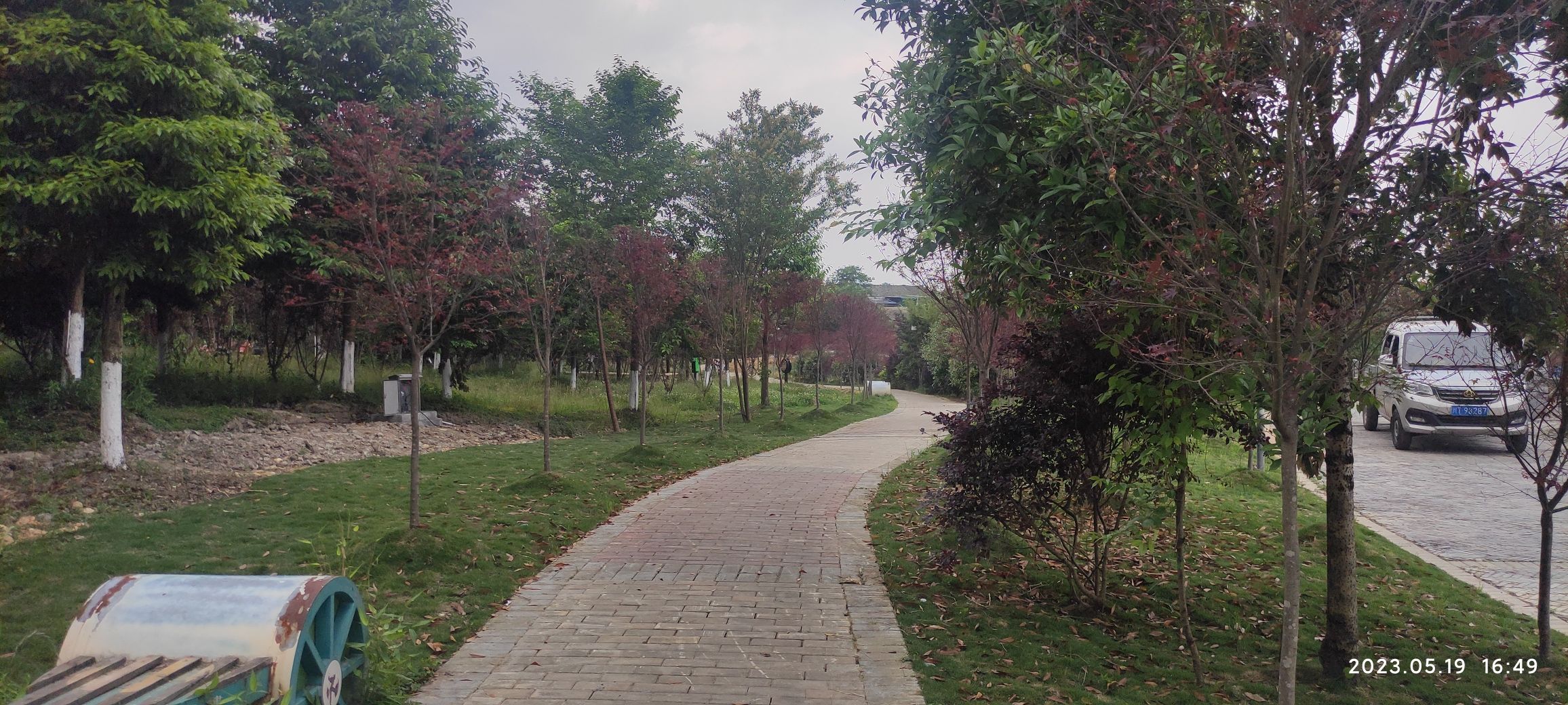 红草旅游新村湿地公园旅行图片 3