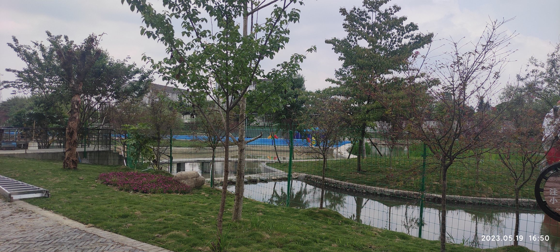 红草旅游新村湿地公园旅行图片 1