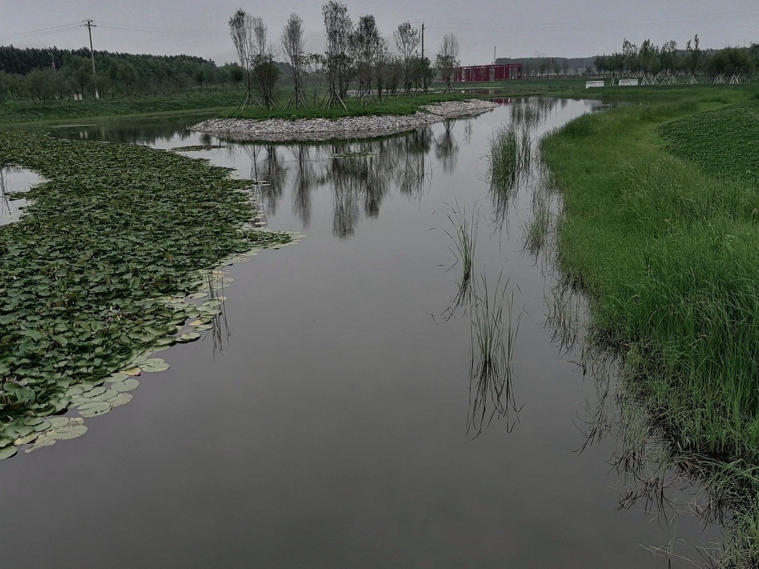 伊通满族自治县湿地公园旅行图片 1