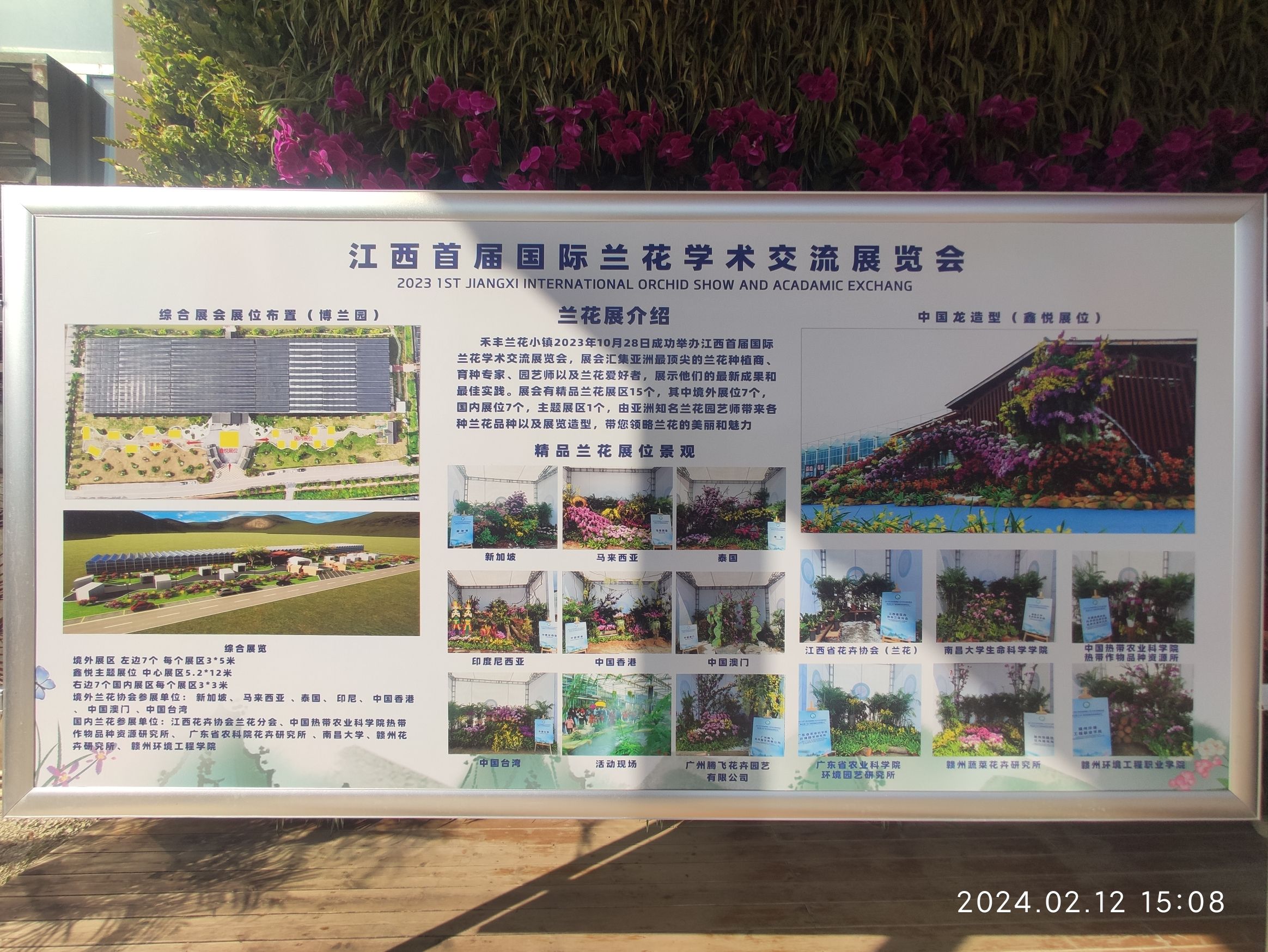 禾丰兰花小镇旅行图片 2