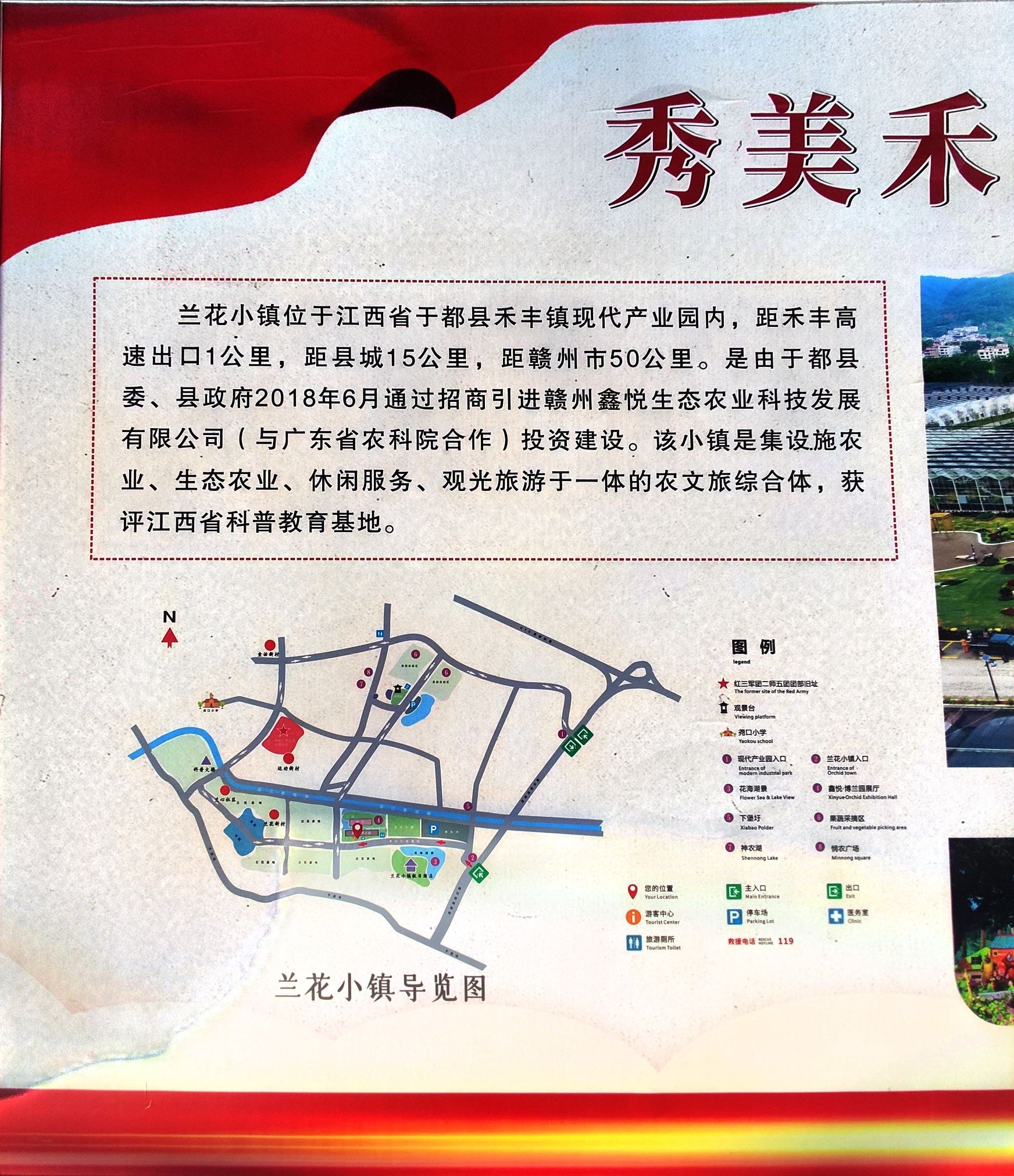 禾丰兰花小镇旅行图片 3