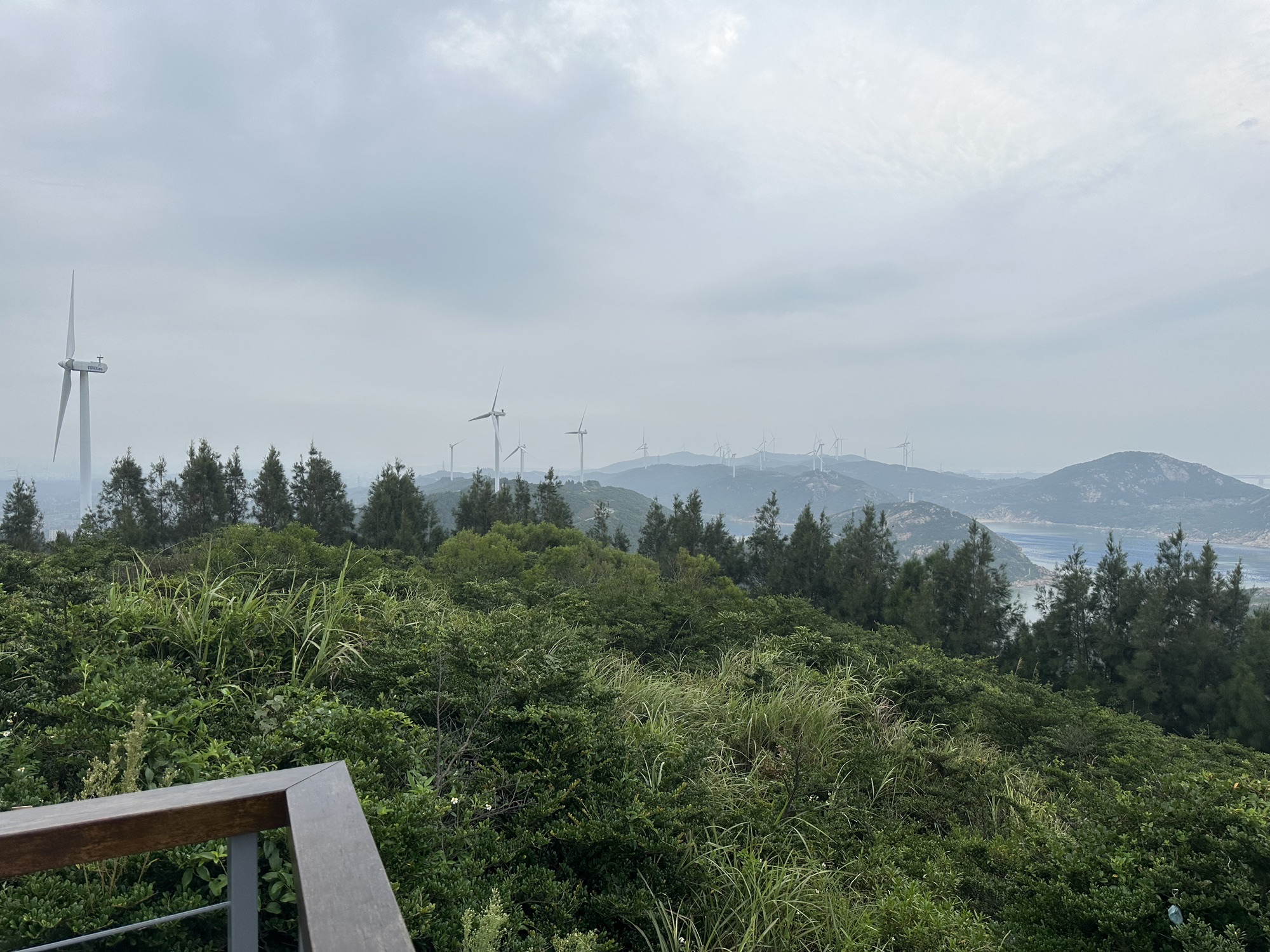 北部生态廊道F5观景台旅行图片 3