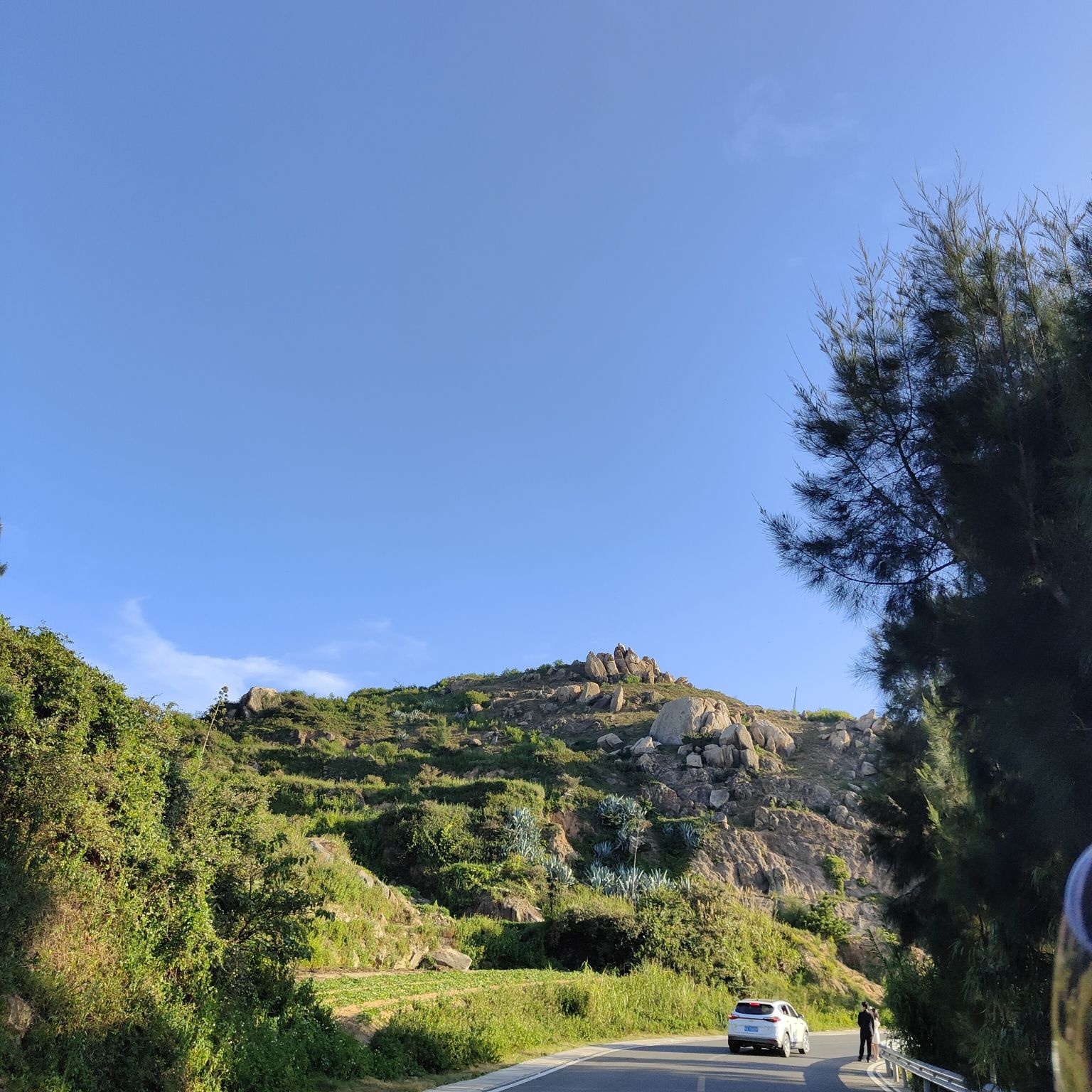 北部生态廊道F2观景台旅行图片 1