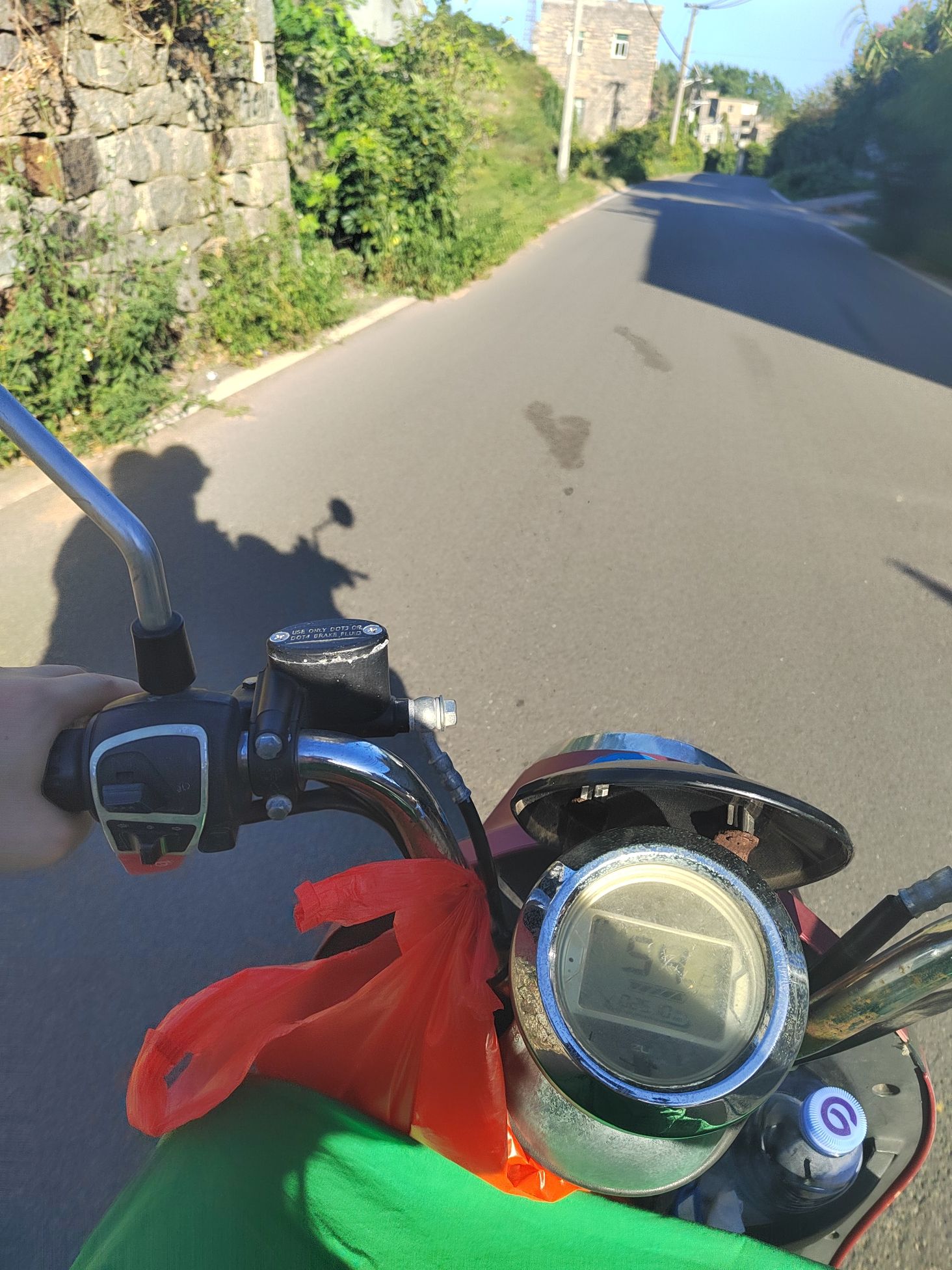 北部生态廊道F1观景台旅行图片 2