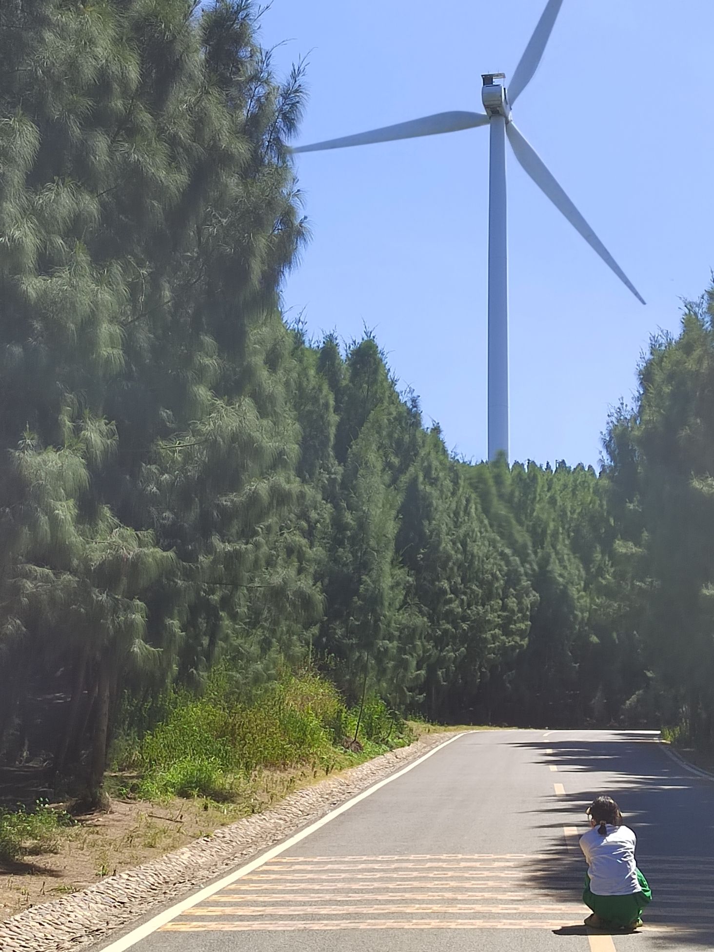 北部生态廊道F1观景台旅行图片 1