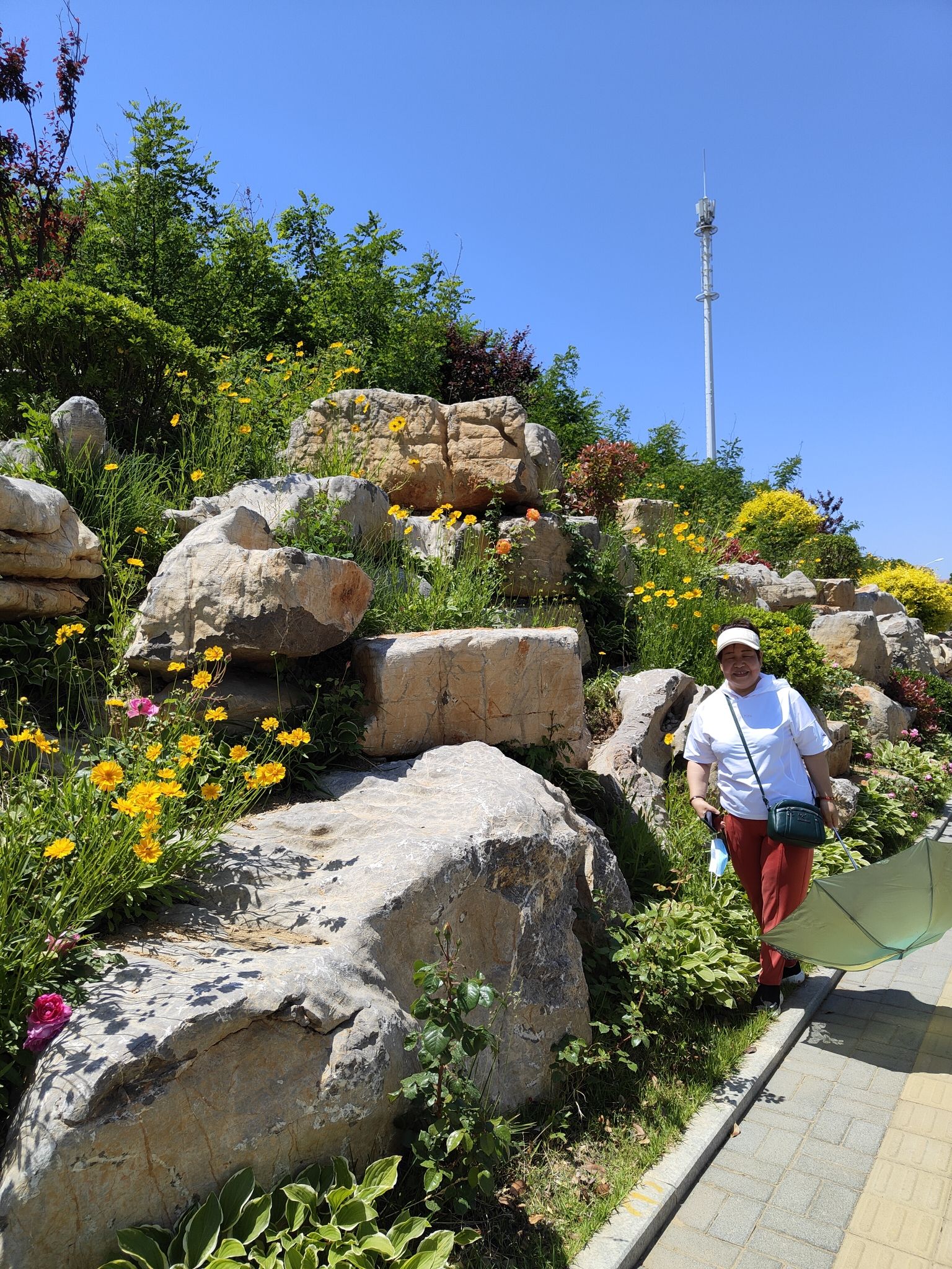 望海公园旅行图片 3