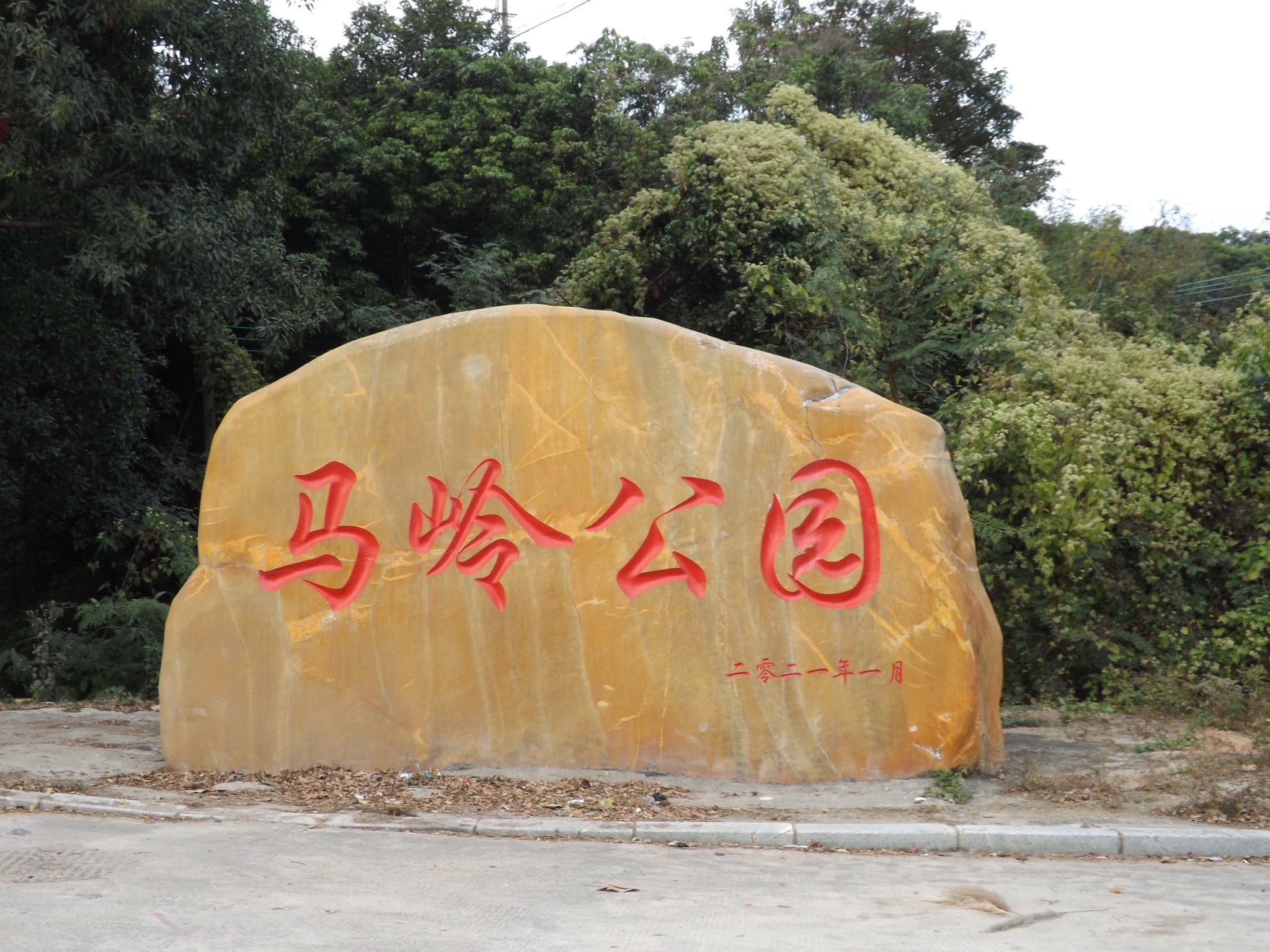 马岭森林公园旅行图片 1