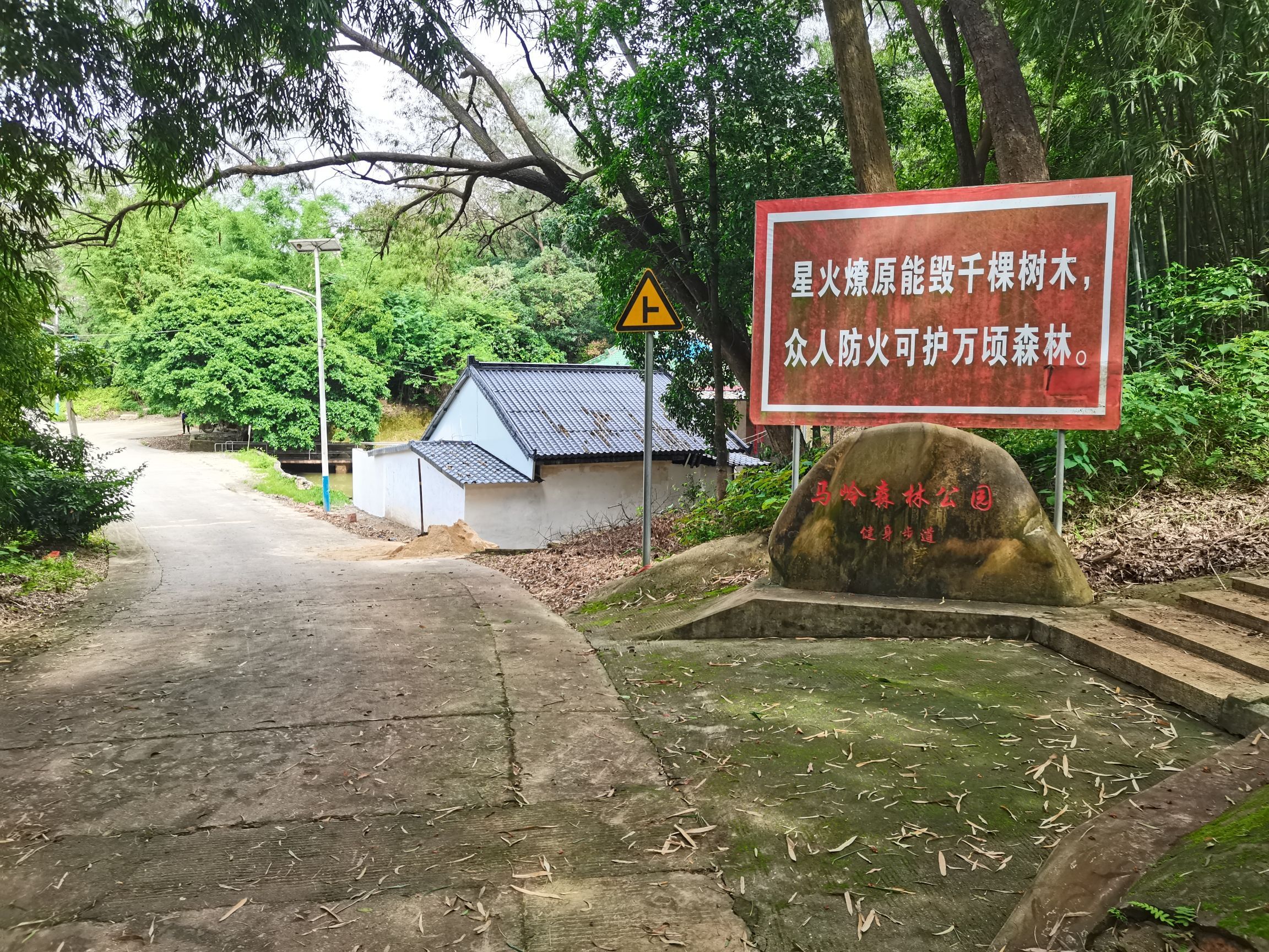 马岭森林公园旅行图片 1