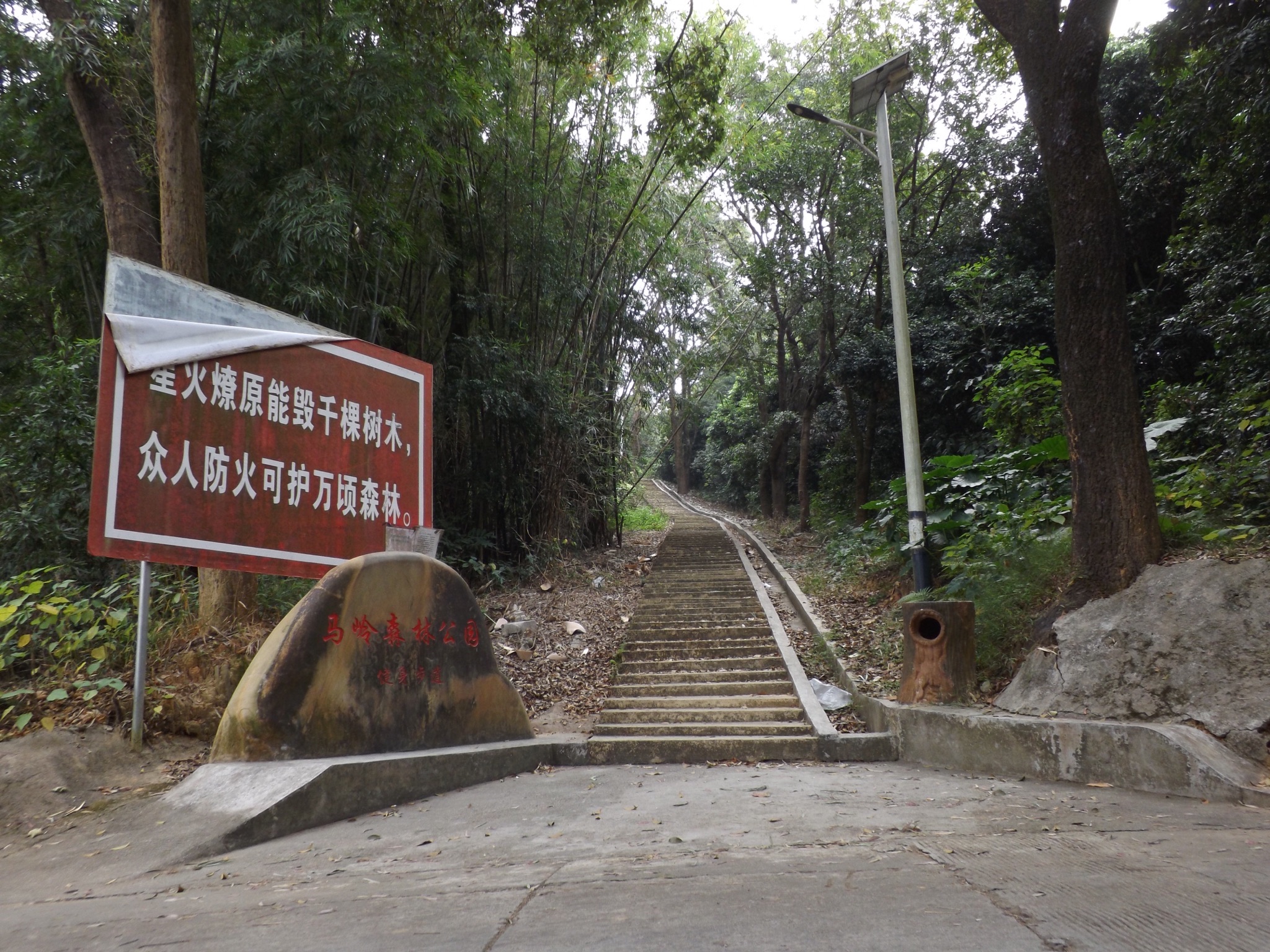马岭森林公园旅行图片 2