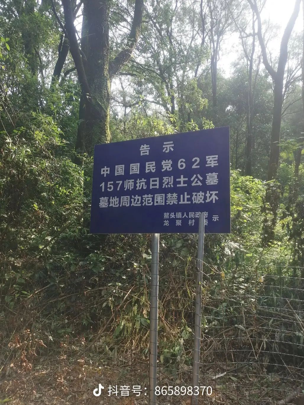 马岭森林公园旅行图片 3