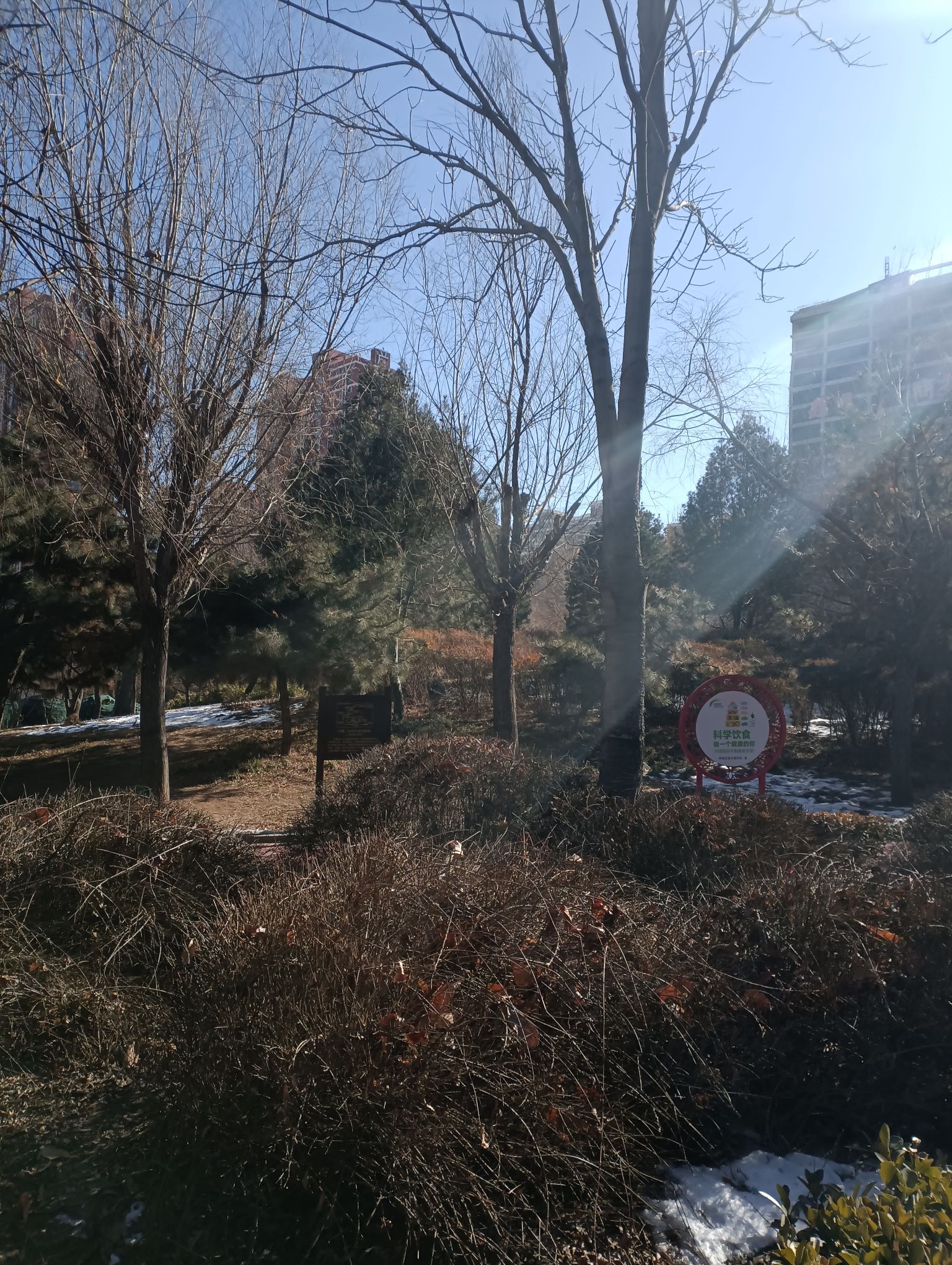 石家庄退役军人主题公园旅行图片 1