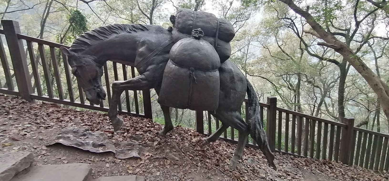 五尺道古遗址旅行图片 3