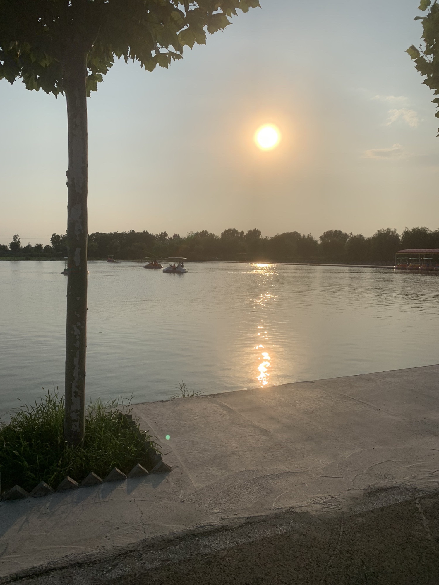 黄河龙泽园旅行图片 1