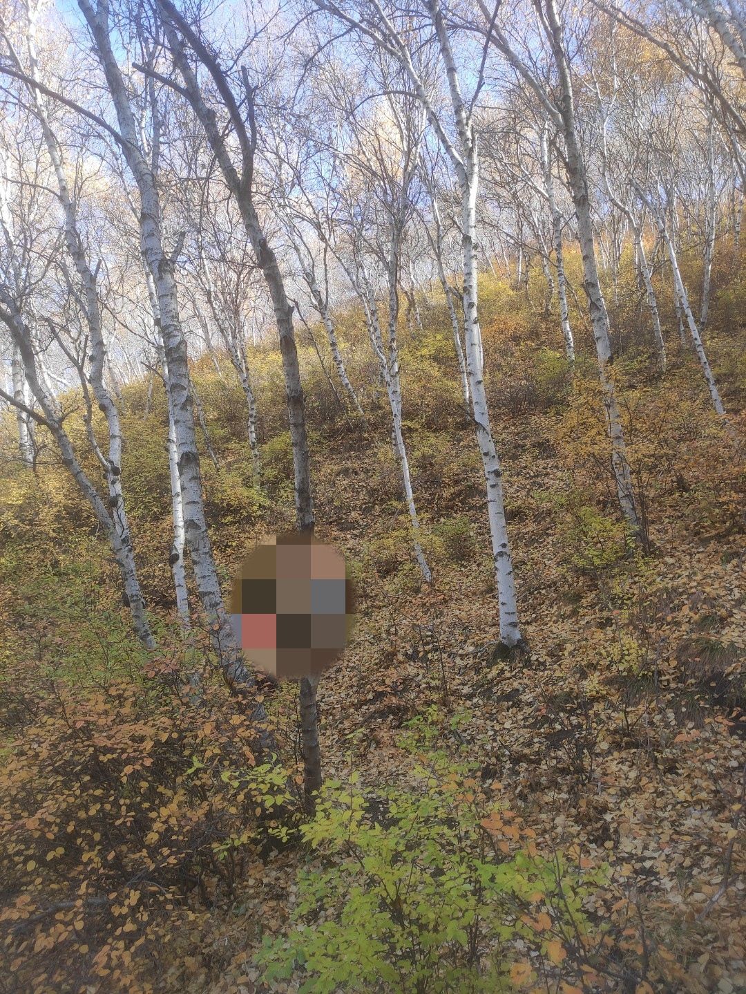 马鞍岭生态旅游景区(暂停开放)旅行图片 2
