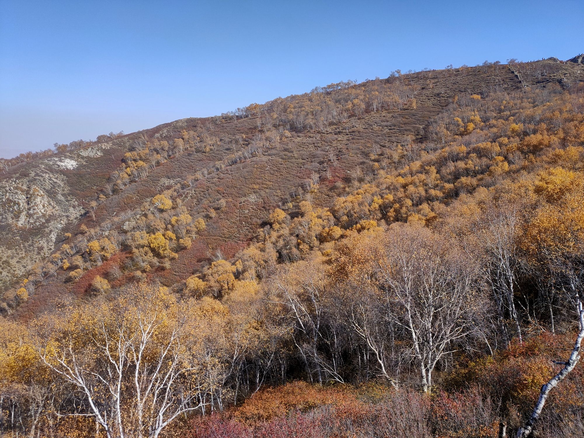 马鞍岭生态旅游景区(暂停开放)旅行图片 3
