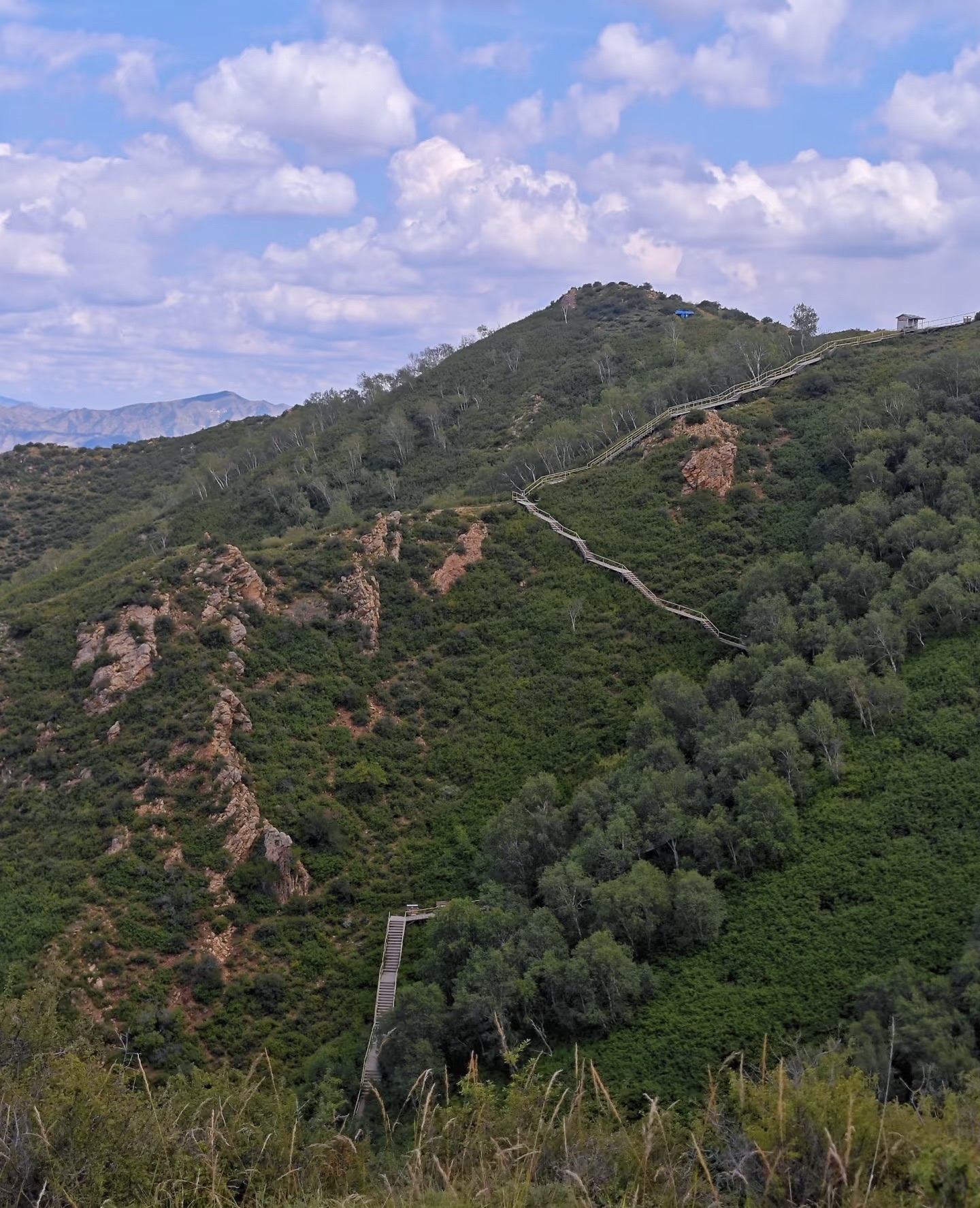 马鞍岭生态旅游景区(暂停开放)旅行图片 1