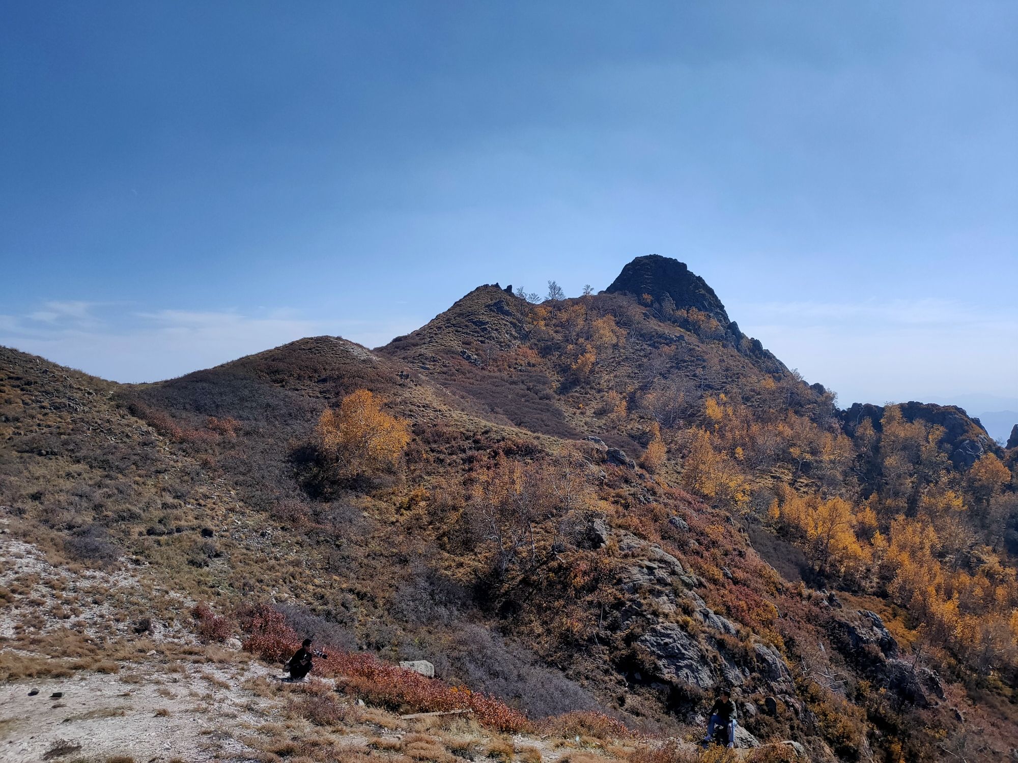 马鞍岭生态旅游景区(暂停开放)旅行图片 1