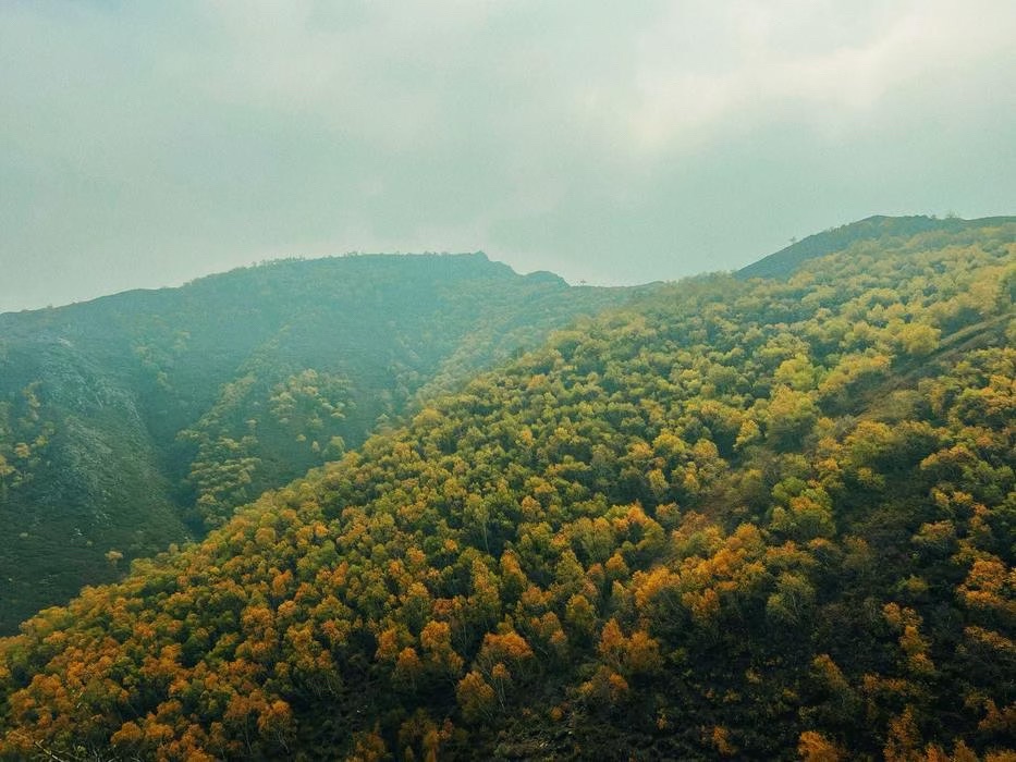 马鞍岭生态旅游景区(暂停开放)旅行图片 2
