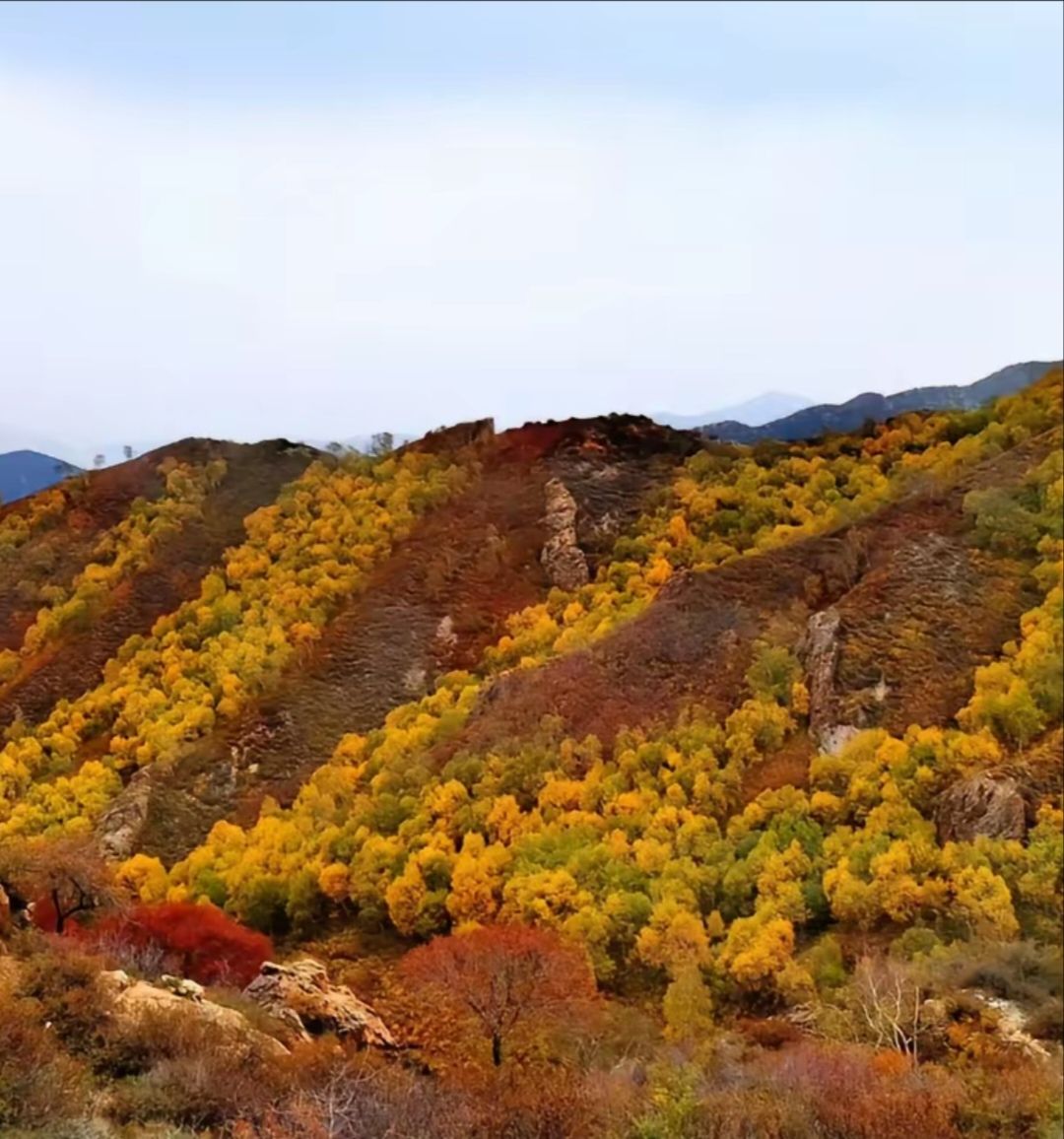 马鞍岭生态旅游景区(暂停开放)旅行图片 3