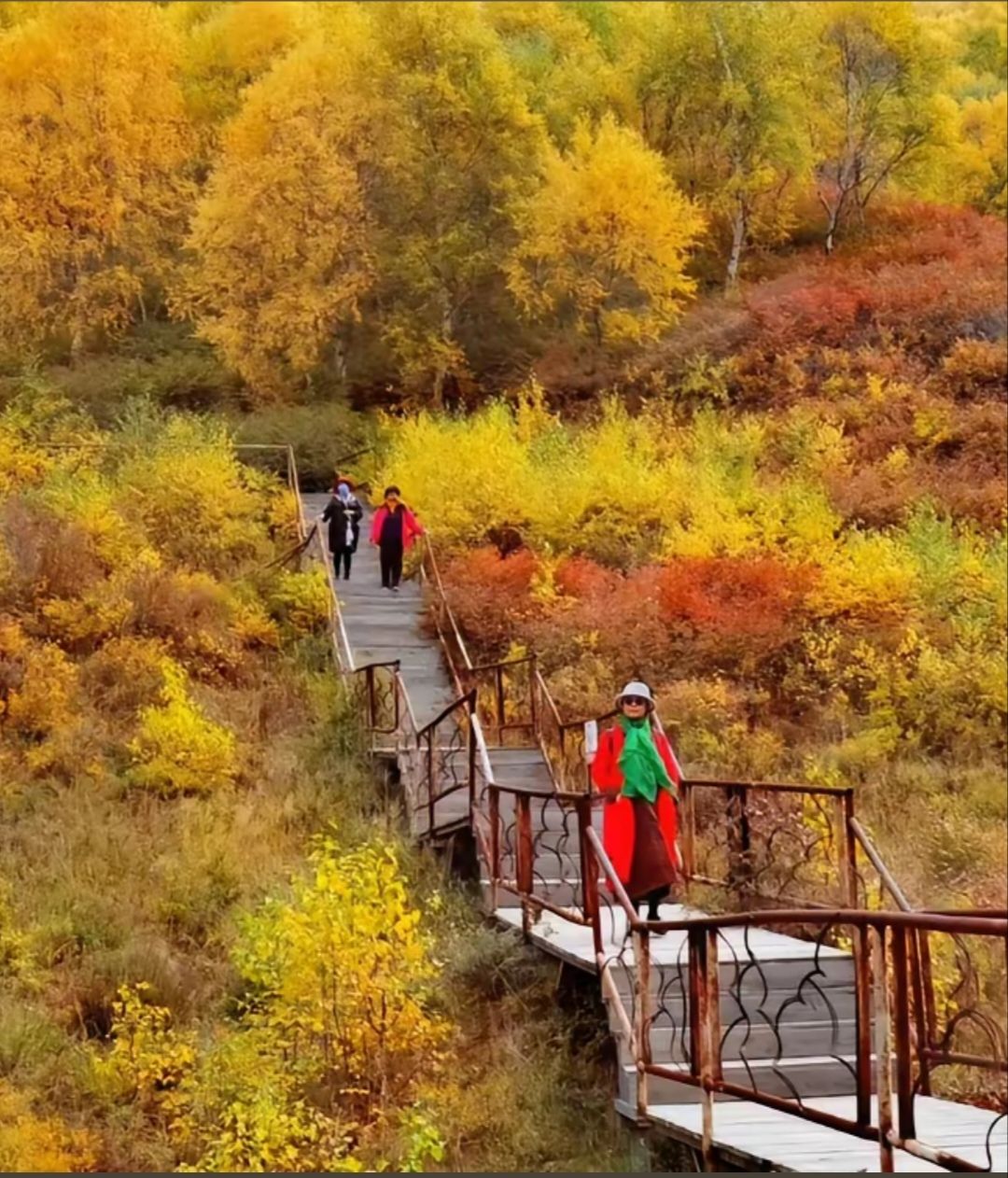 马鞍岭生态旅游景区(暂停开放)旅行图片 1