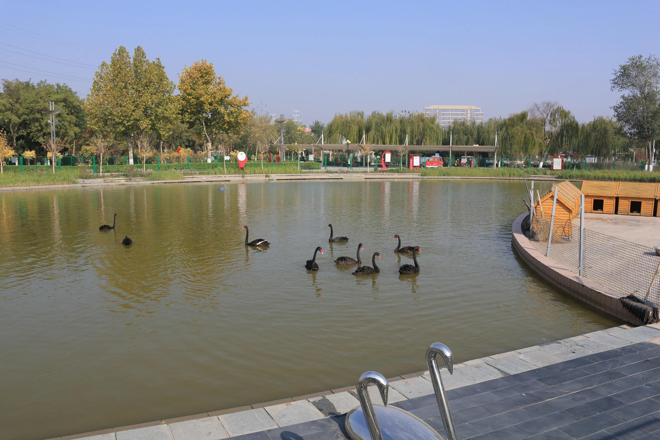 龙湖公园