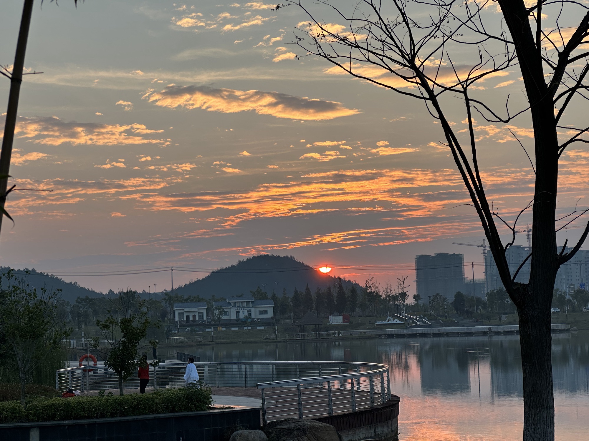 龙湖公园旅行图片 2