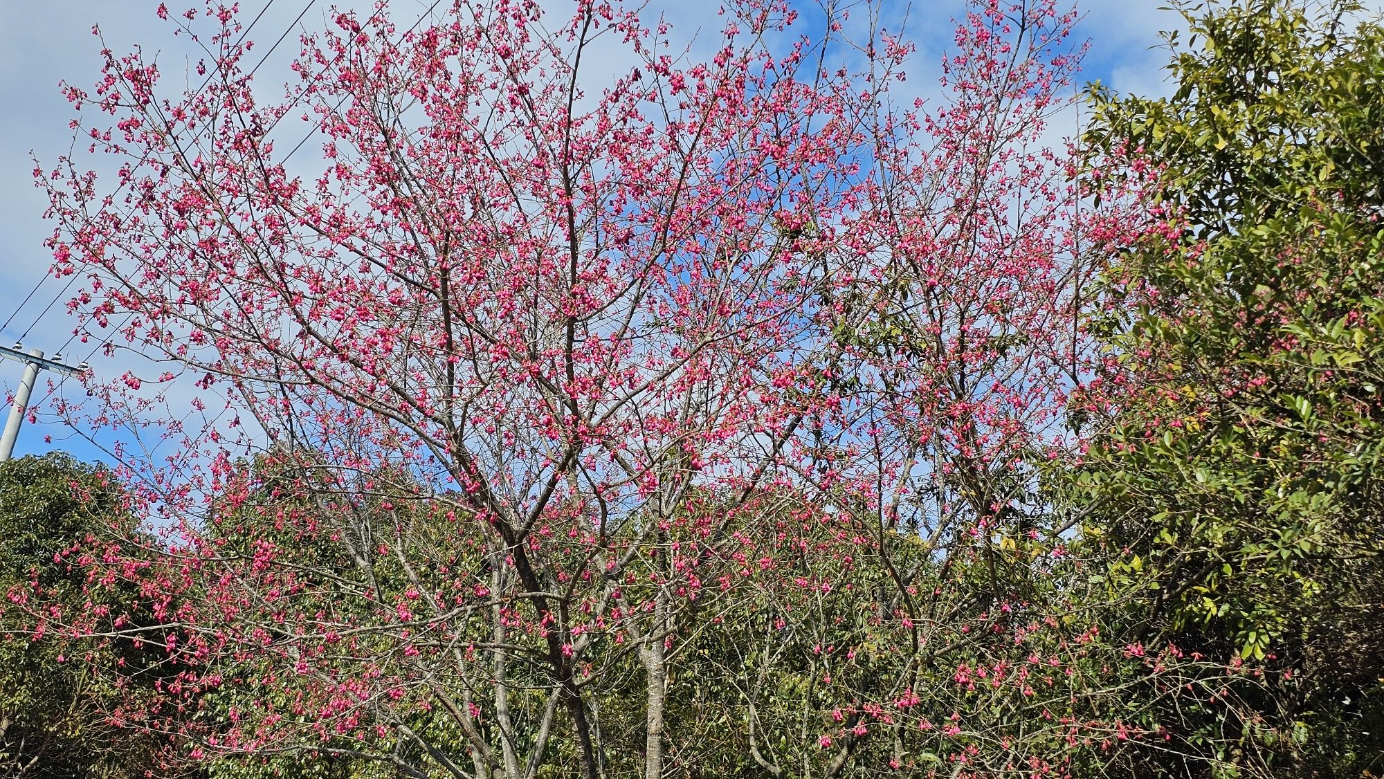 三官岩风景区旅行图片 1