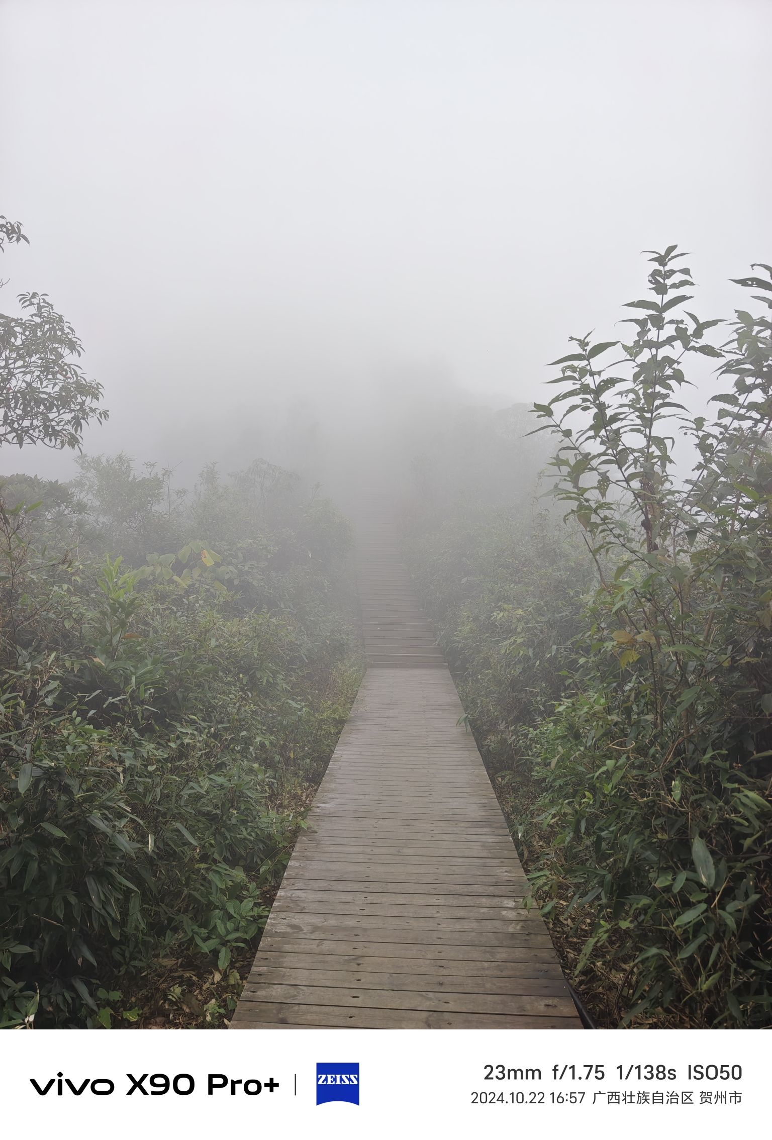 明梅山顶旅行图片 1